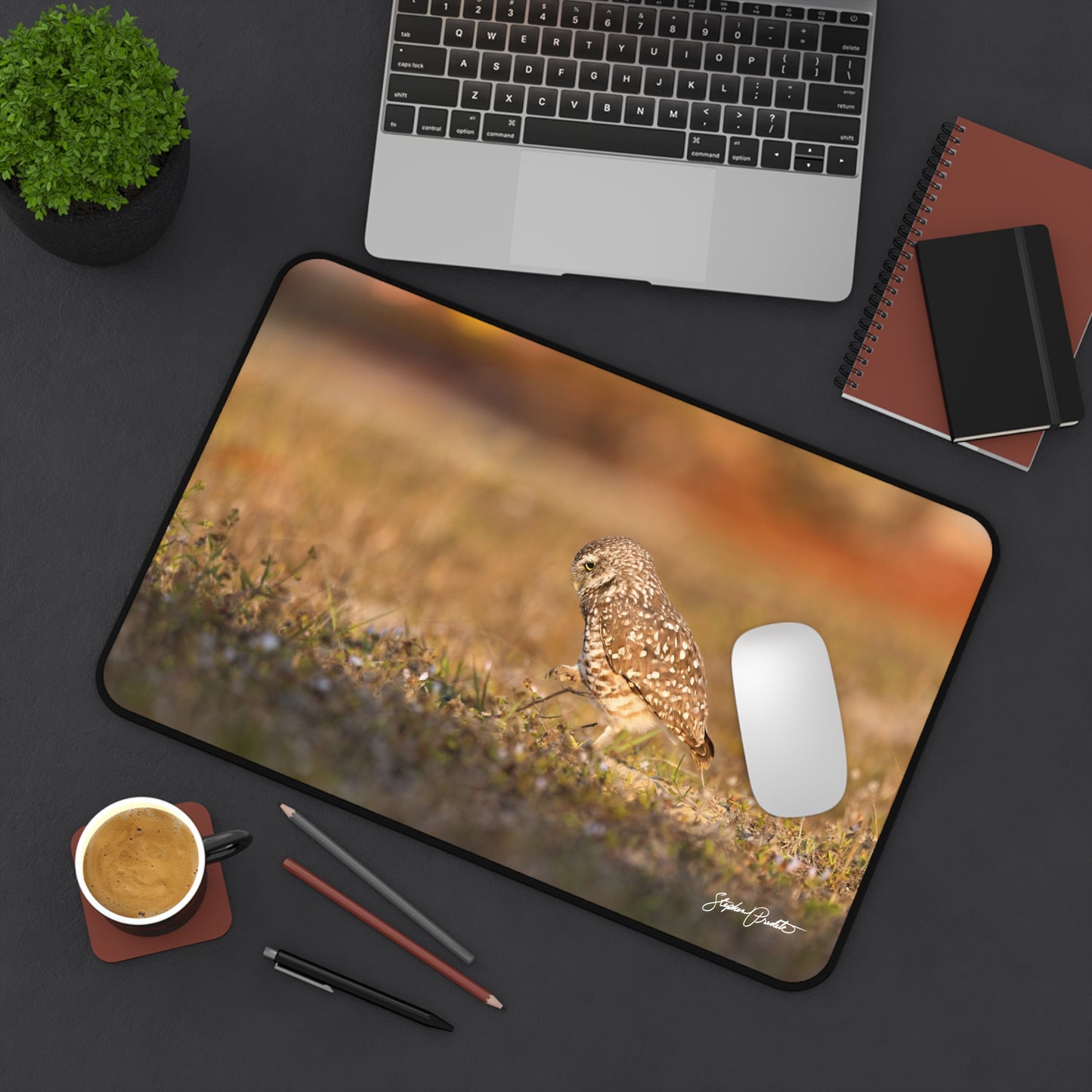 Desk Mat -- Burrowing Owl Stroll