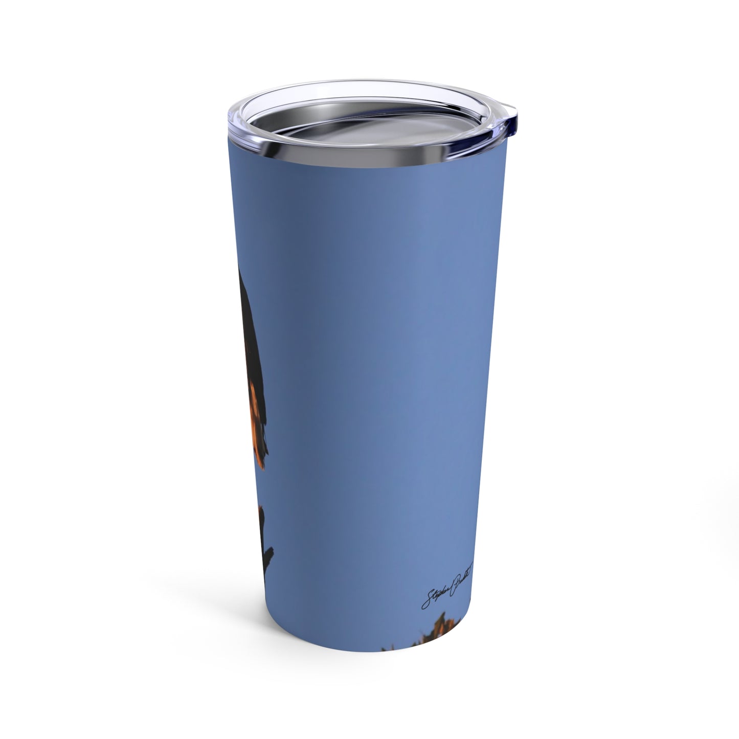 Tumbler 20oz -- Bald Eagle at Sunset
