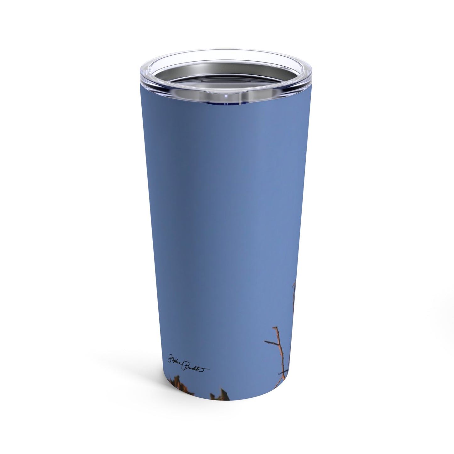 Tumbler 20oz -- Bald Eagle at Sunset