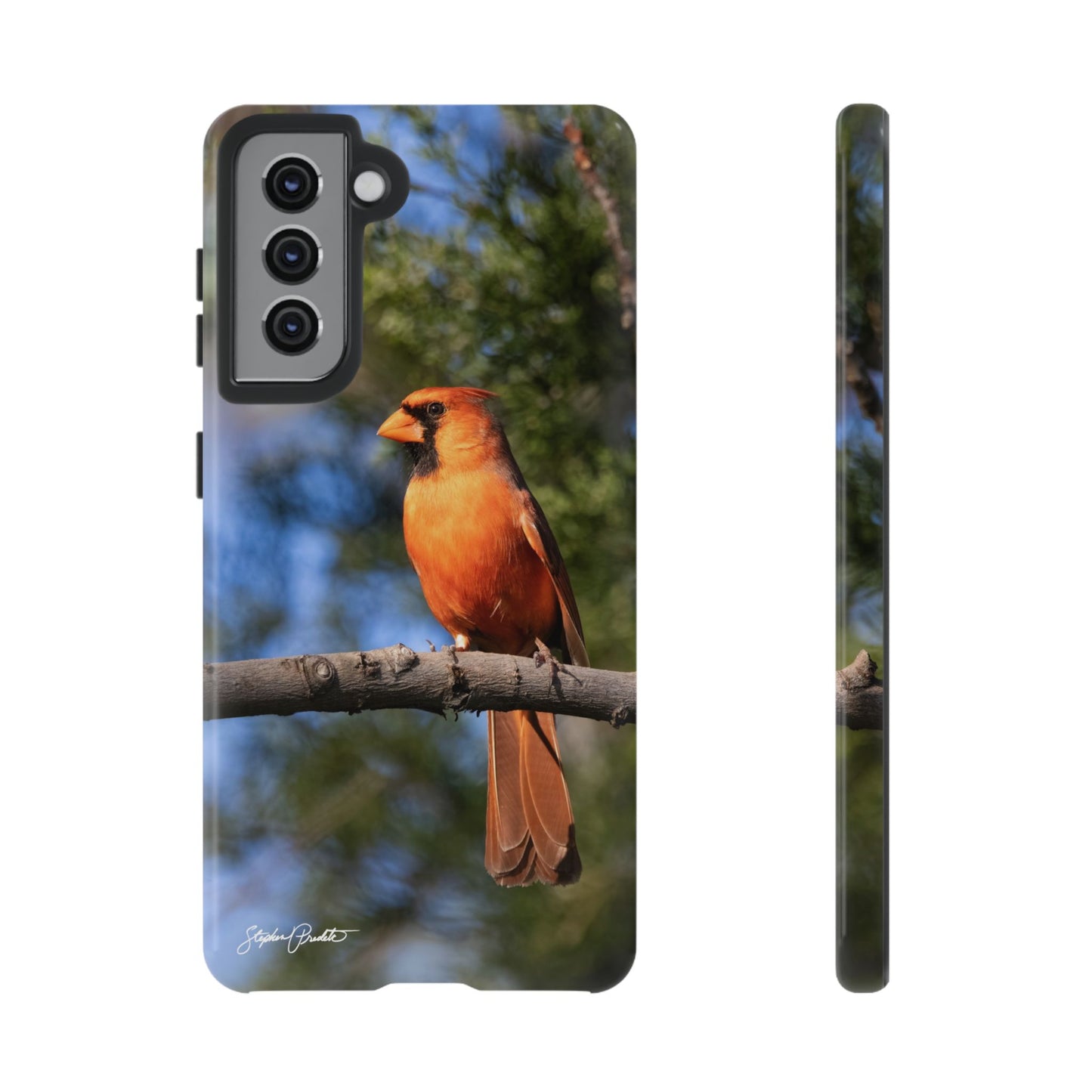 Phone Tough Case - Male Northern Cardinal