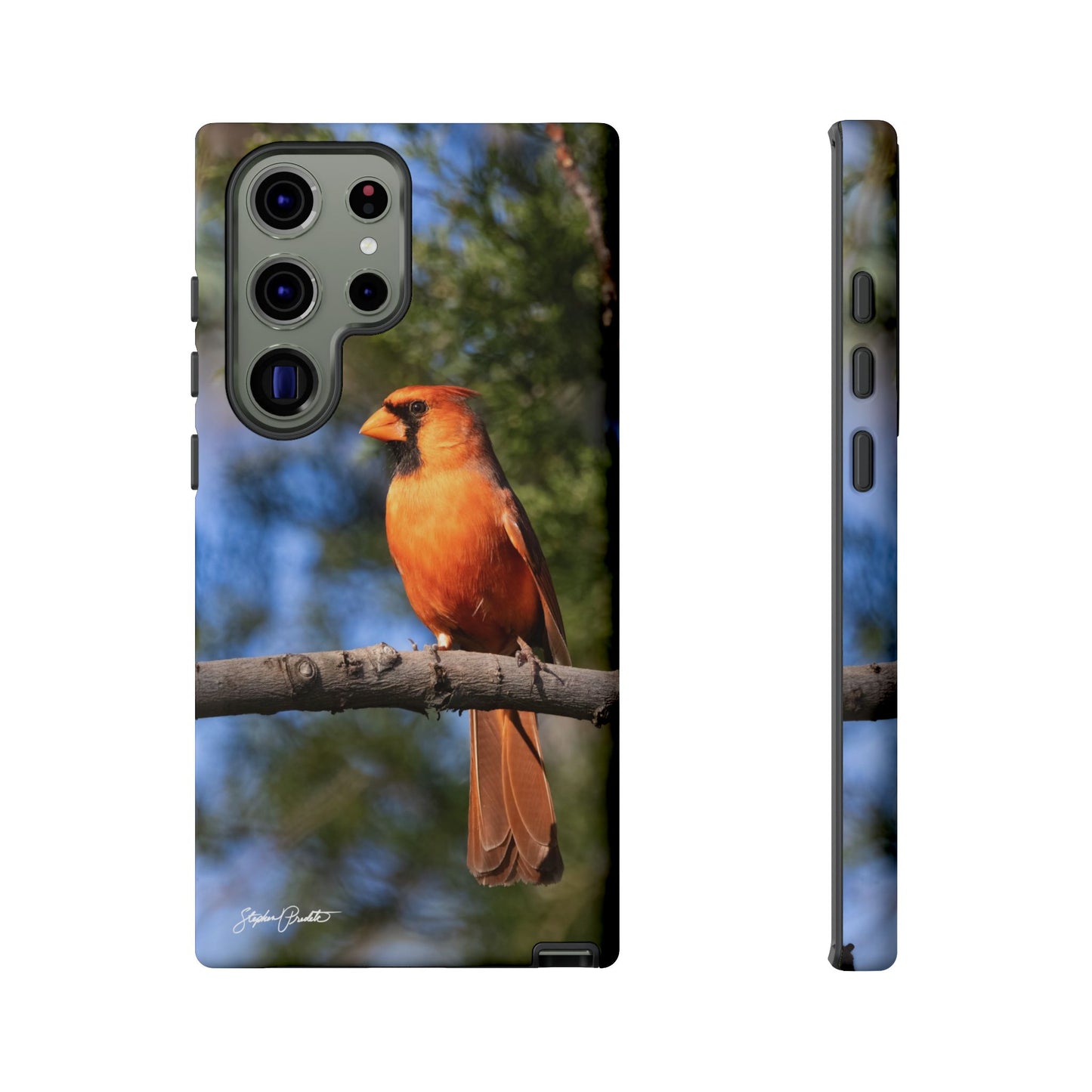 Phone Tough Case - Male Northern Cardinal