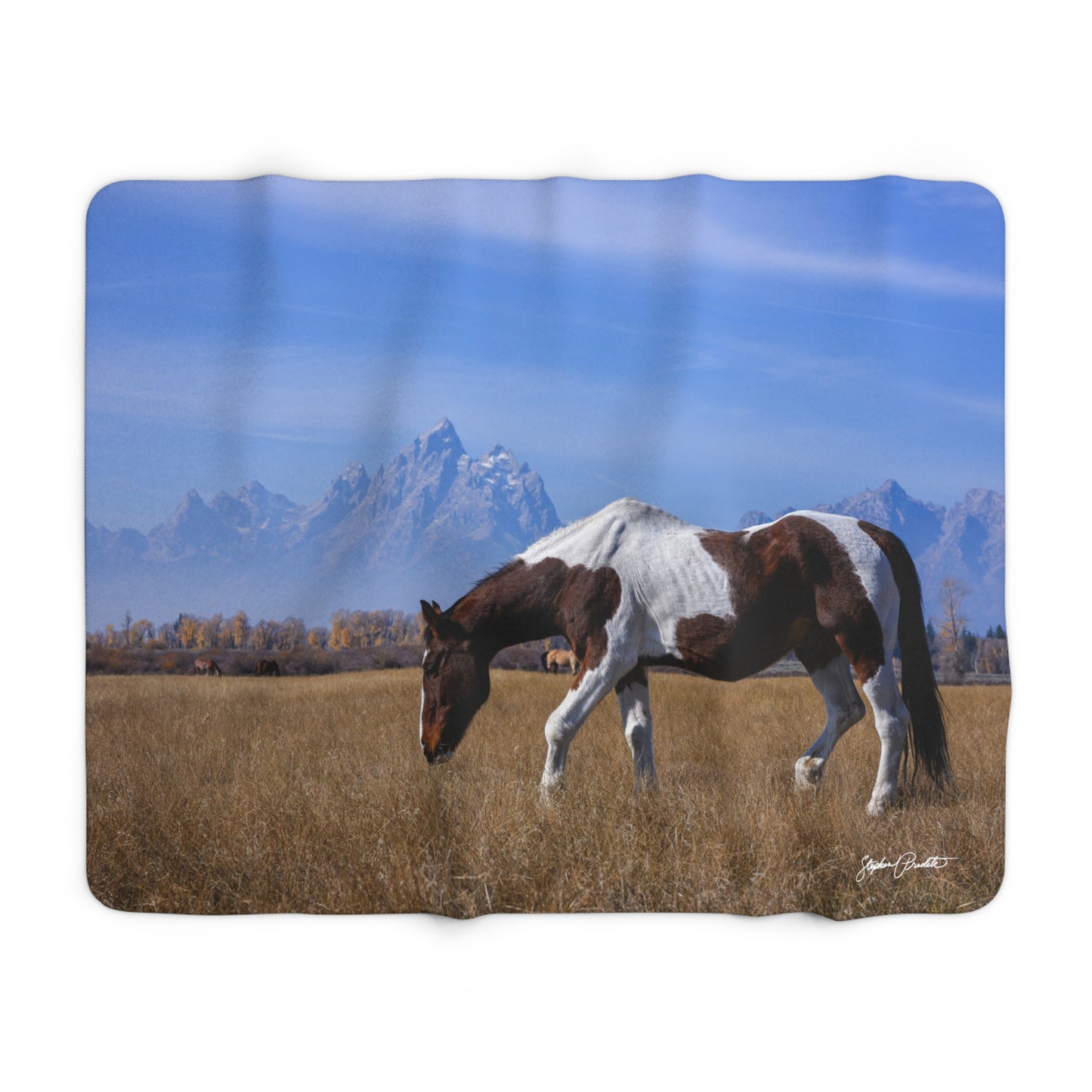 Blankets: Sherpa Fleece Blanket -- Foldable Fine Art -- Grand Teton Paint Horse