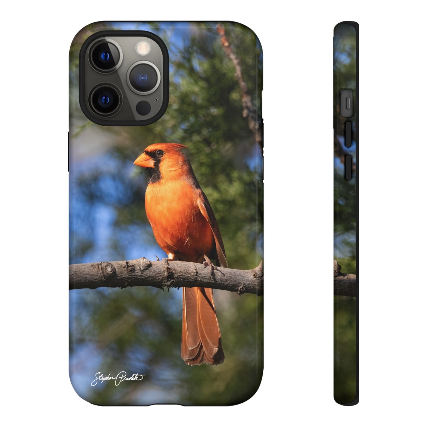 Phone Tough Case - Male Northern Cardinal