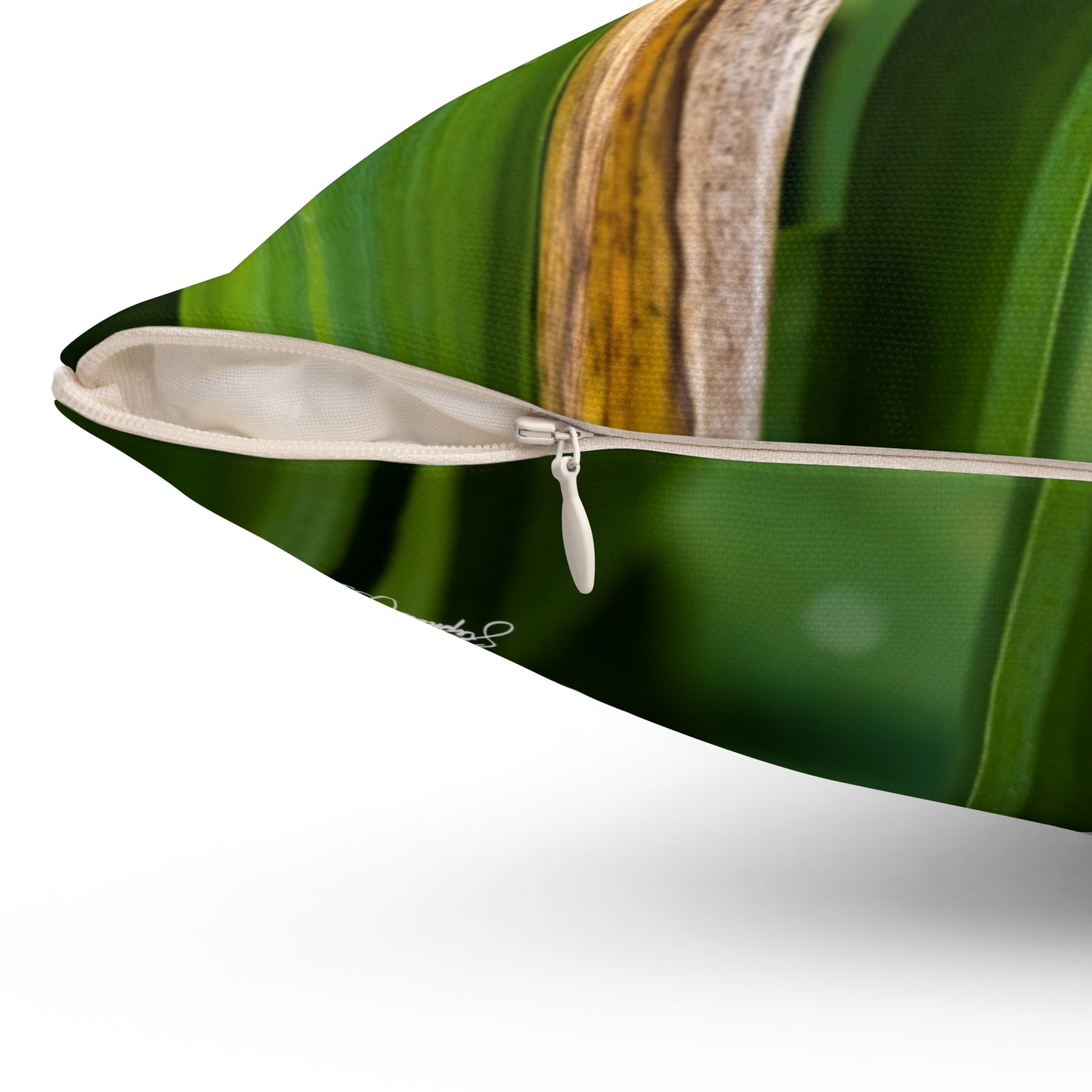 Throw Pillow -- Tree Frog Photo -- Spun Polyester Square Pillow