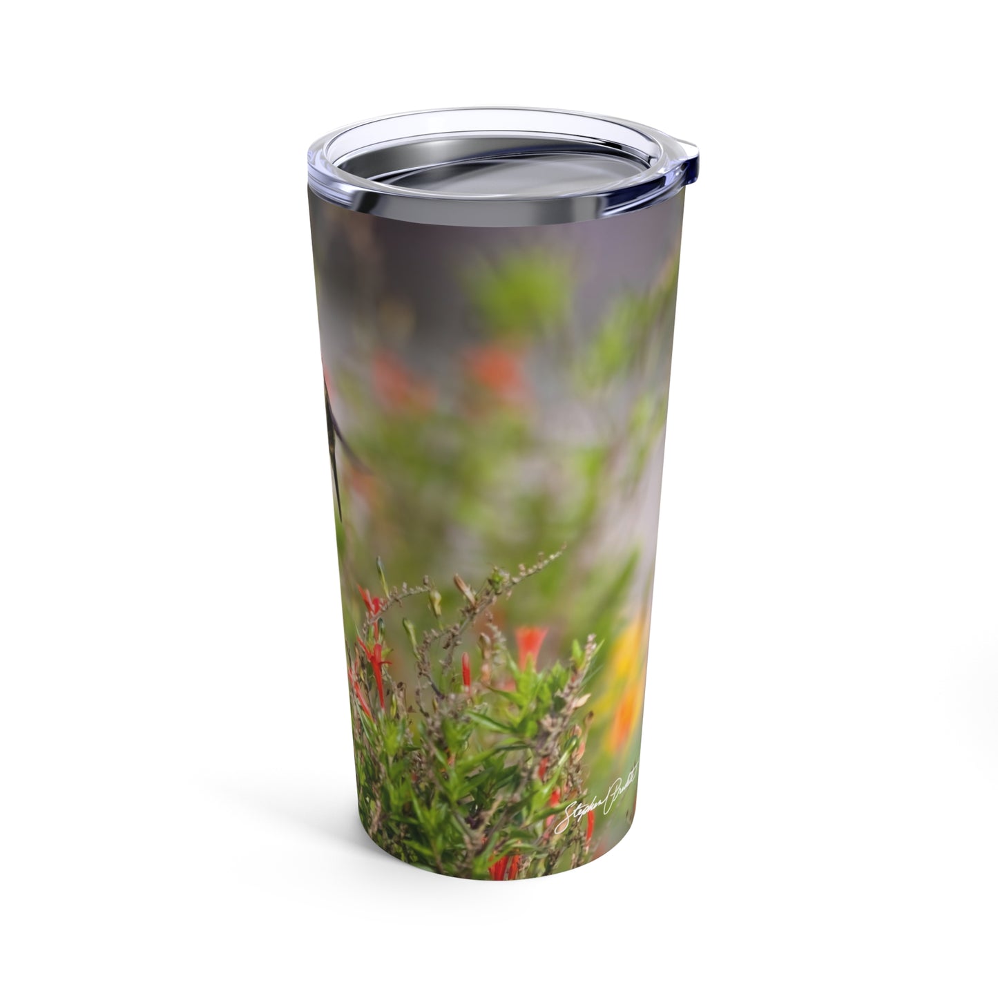 Tumbler 20oz -- Ruby-throated Hummingbird