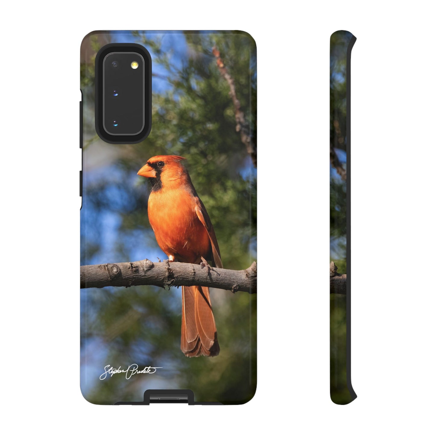 Phone Tough Case - Male Northern Cardinal
