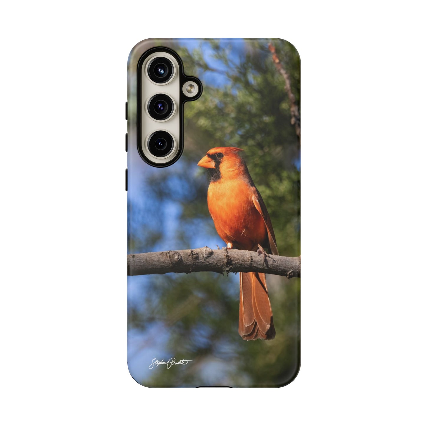 Phone Tough Case - Male Northern Cardinal