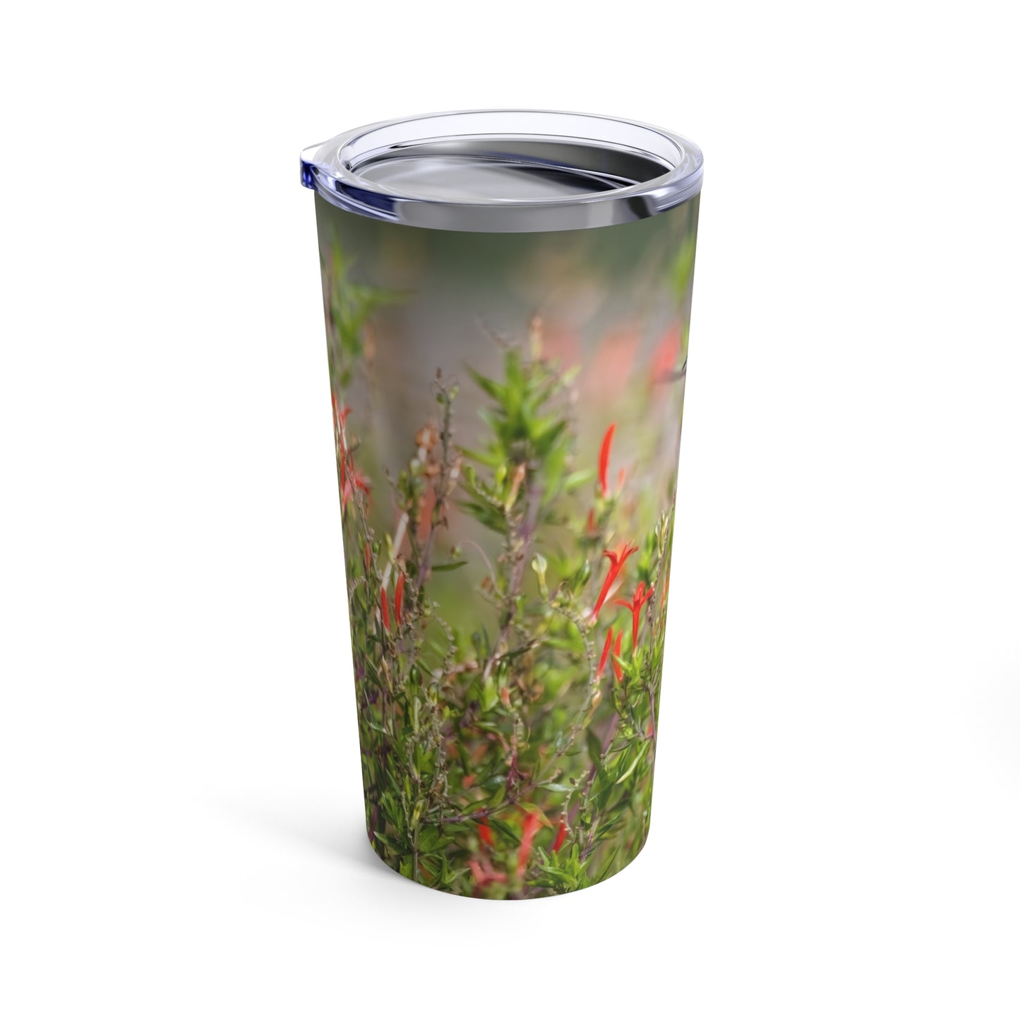 Tumbler 20oz -- Ruby-throated Hummingbird