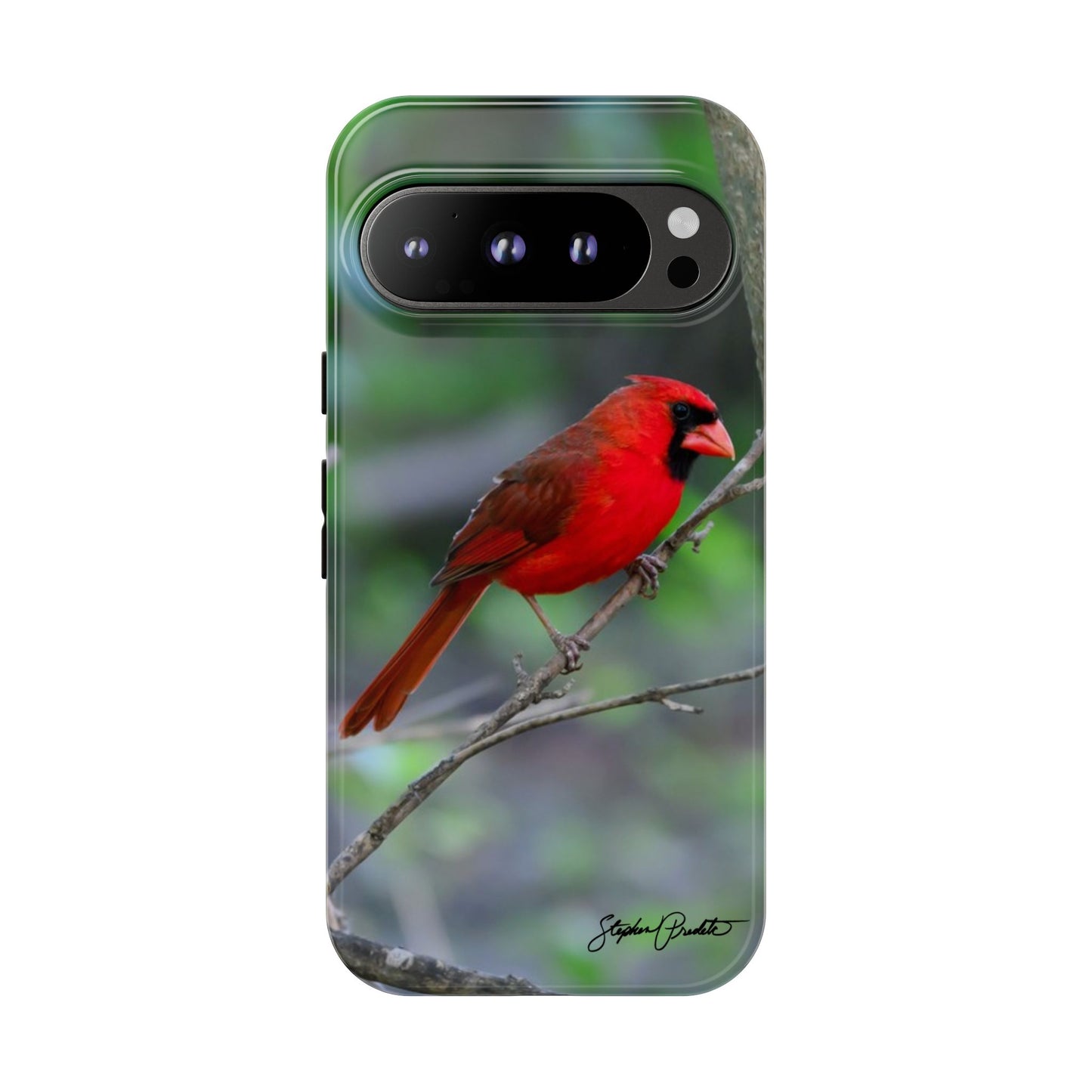 Phone Tough Case - Northern Cardinal 2