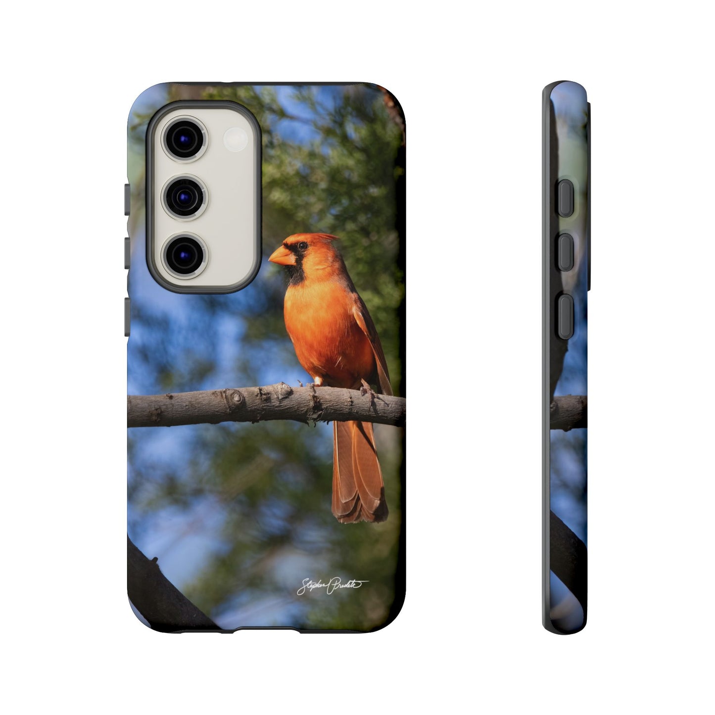 Phone Tough Case - Male Northern Cardinal