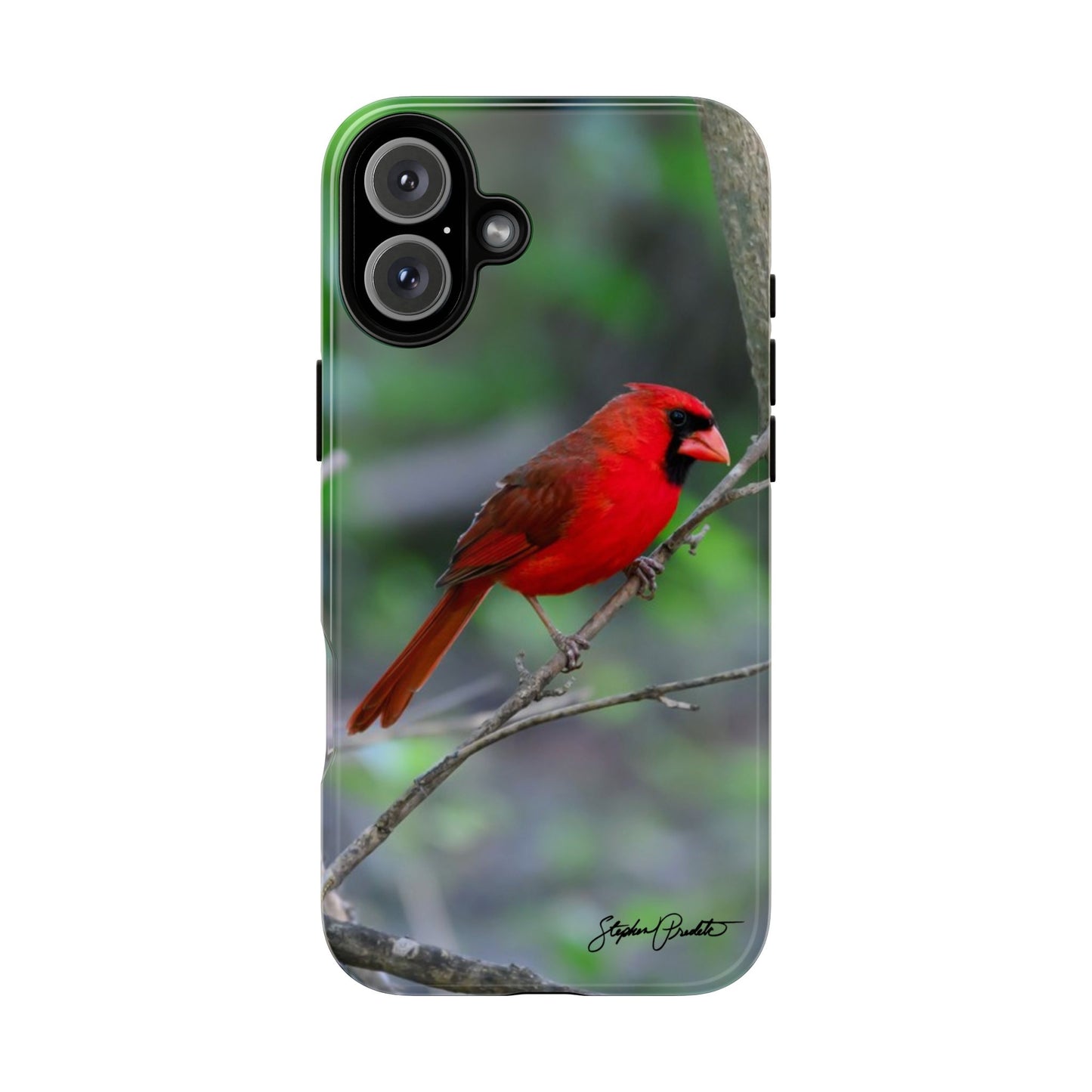 Phone Tough Case - Northern Cardinal 2