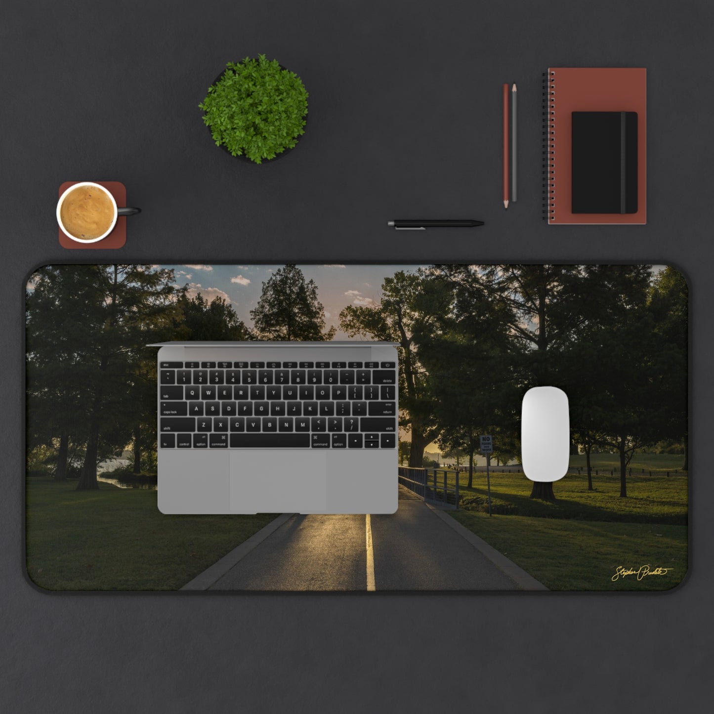 Desk Mat -- Sunrise on White Rock Lake Path
