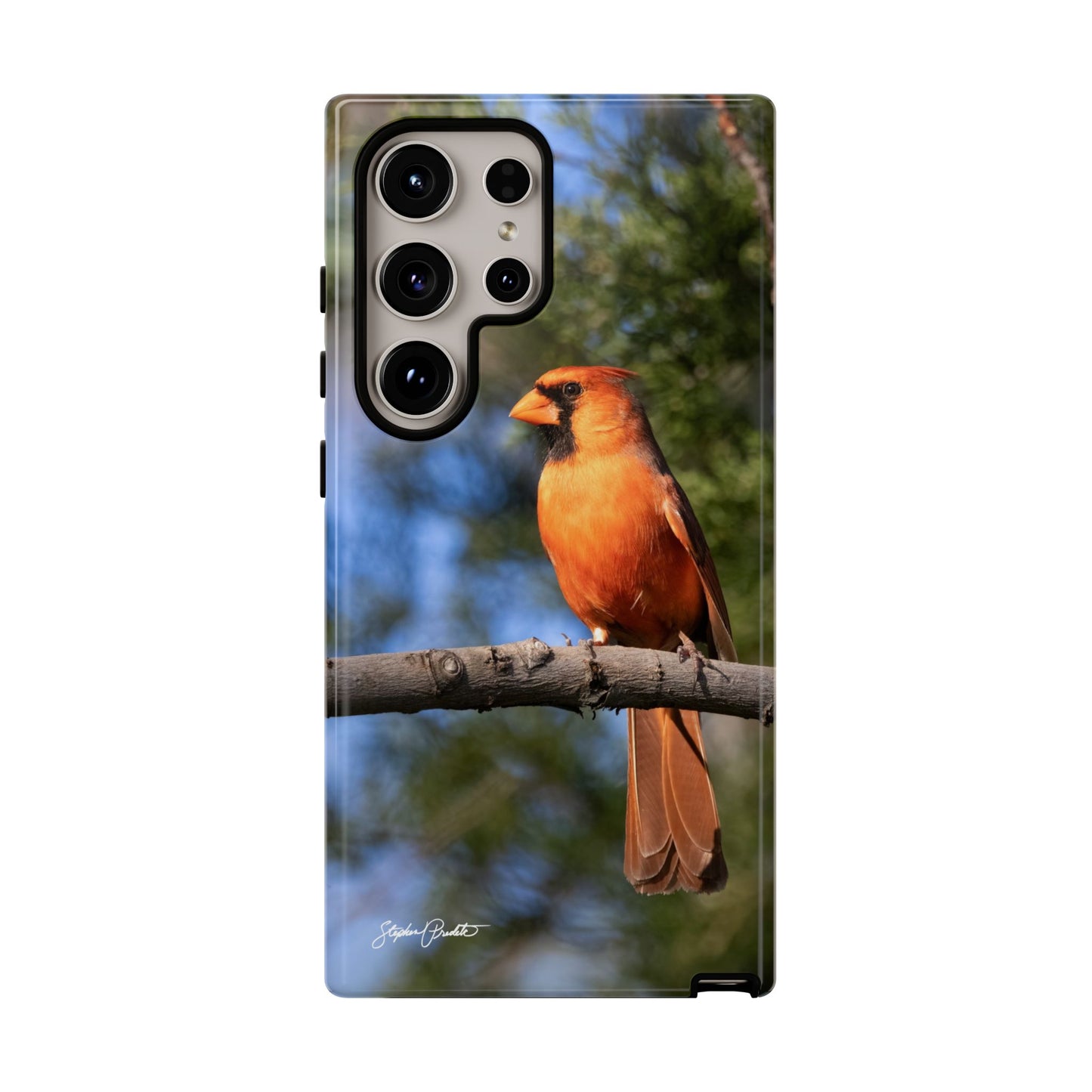 Phone Tough Case - Male Northern Cardinal