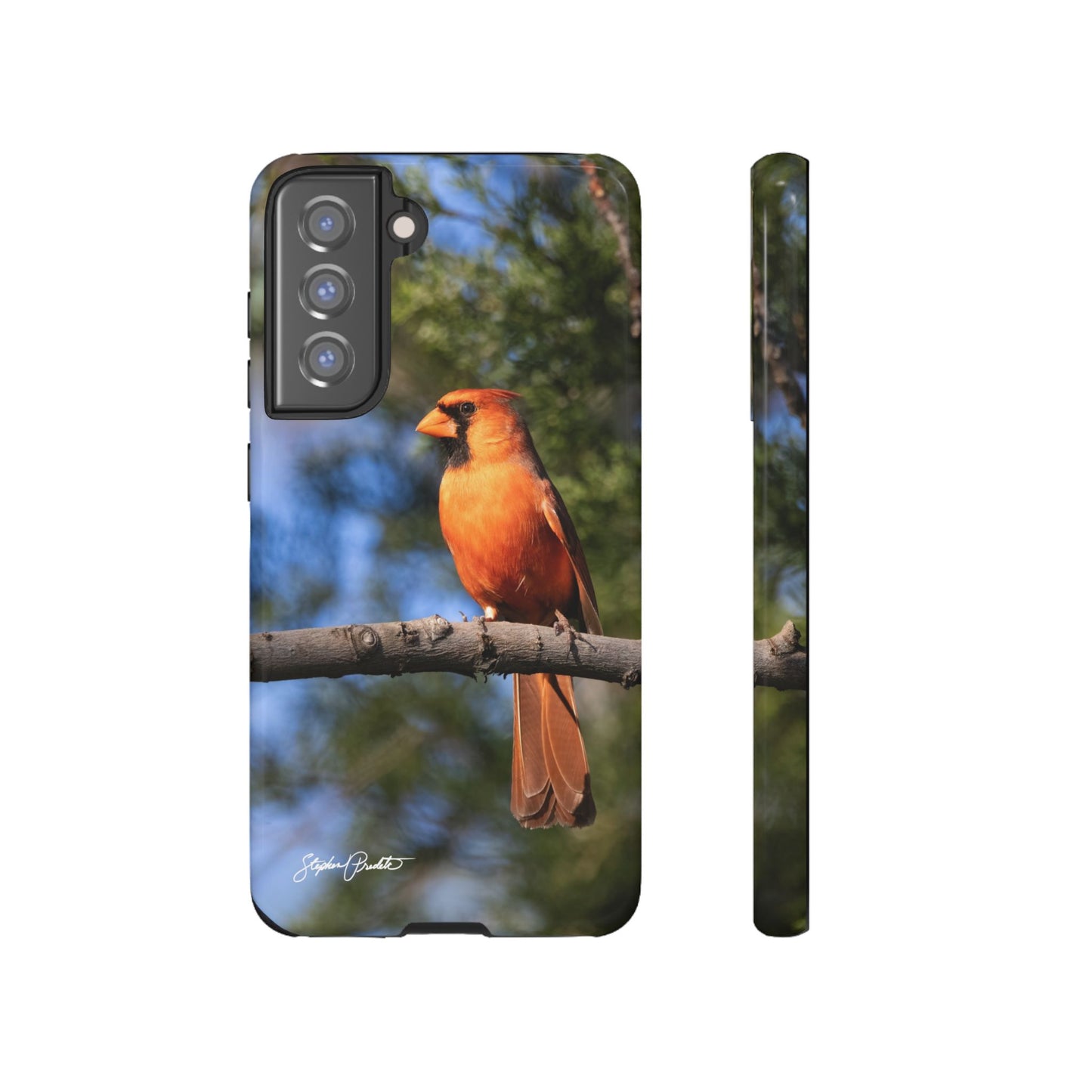 Phone Tough Case - Male Northern Cardinal