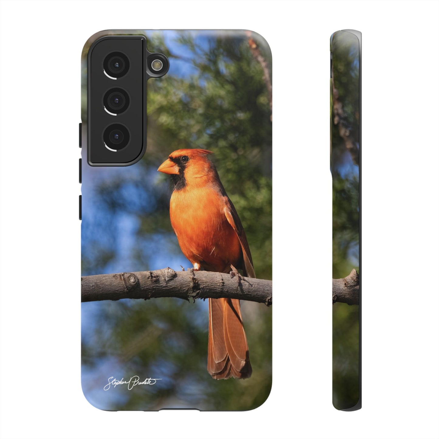 Phone Tough Case - Male Northern Cardinal