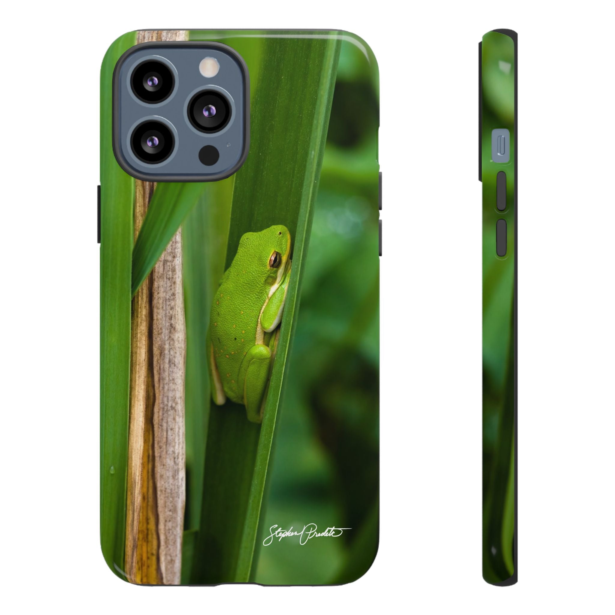 Phone Tough Case - Green Tree Frog – Stephen Pred etc. Photography