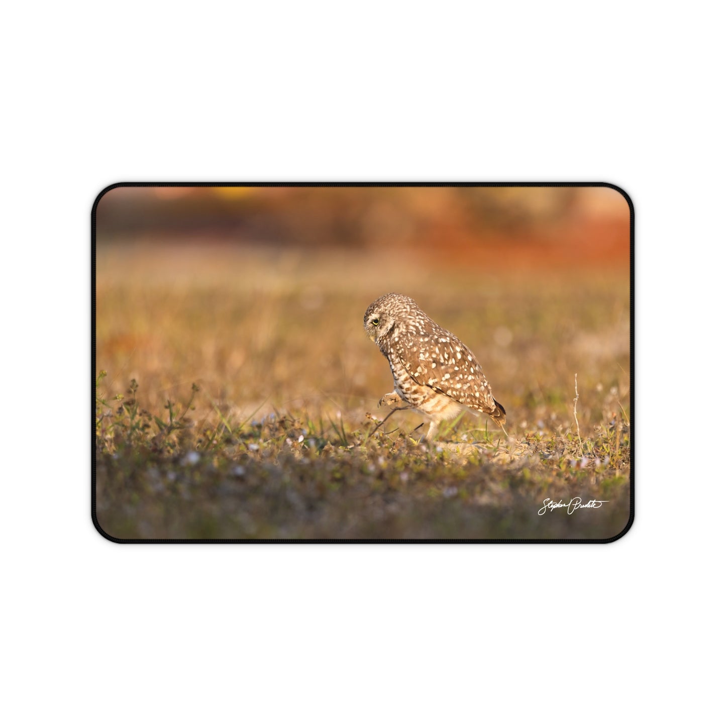 Desk Mat -- Burrowing Owl Stroll
