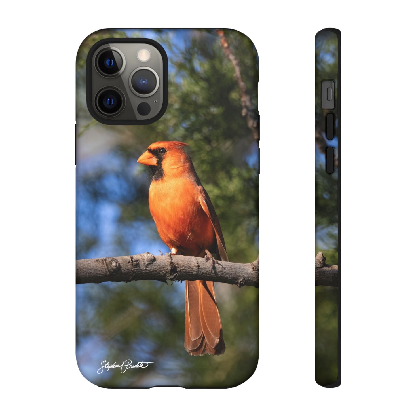 Phone Tough Case - Male Northern Cardinal