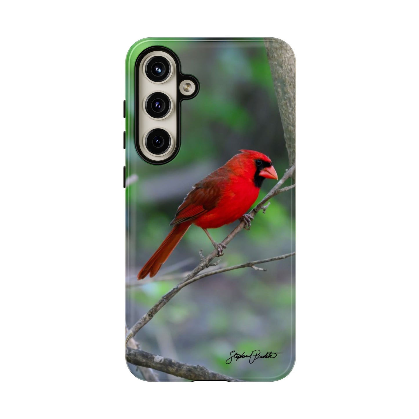 Phone Tough Case - Northern Cardinal 2