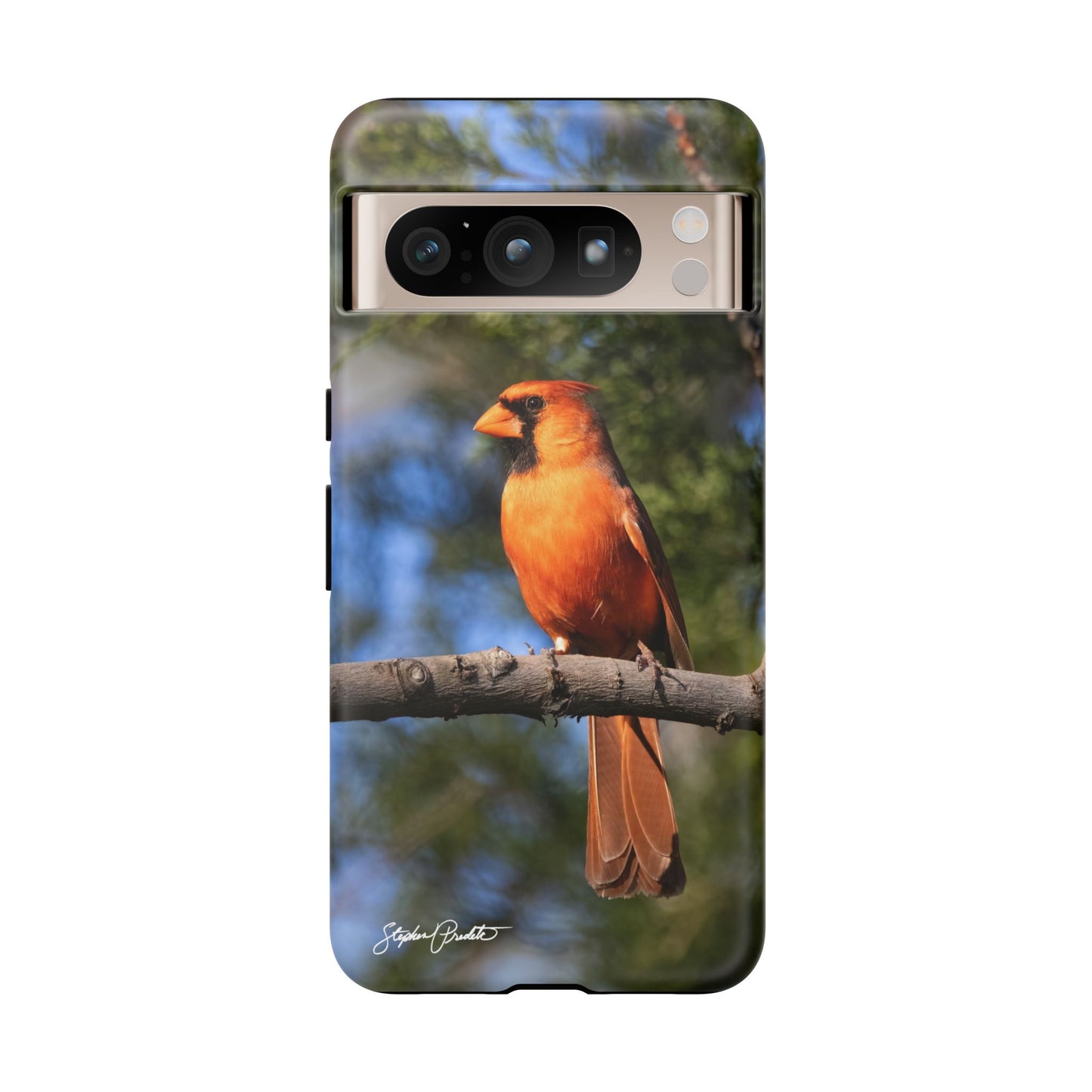 Phone Tough Case - Male Northern Cardinal
