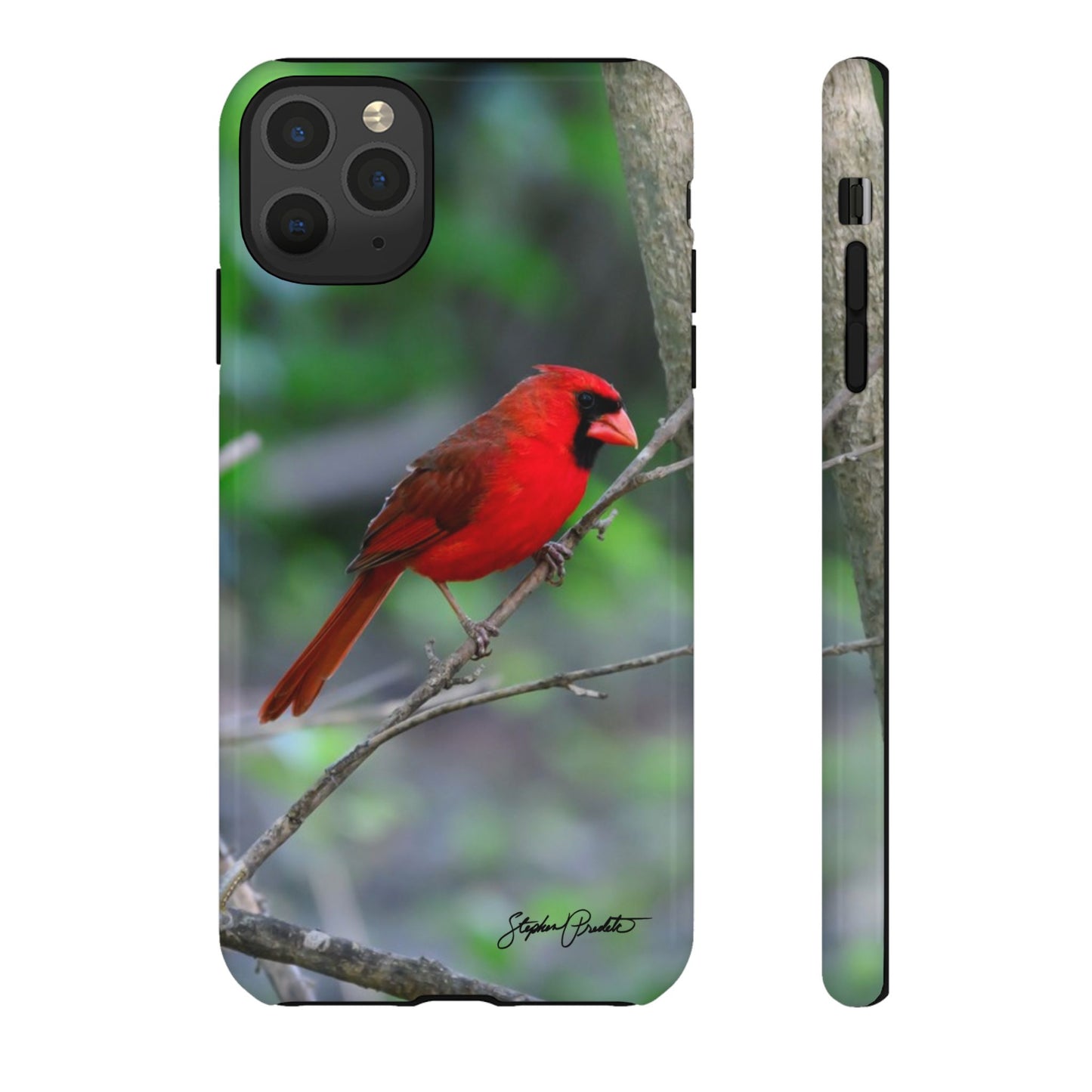 Phone Tough Case - Northern Cardinal 2