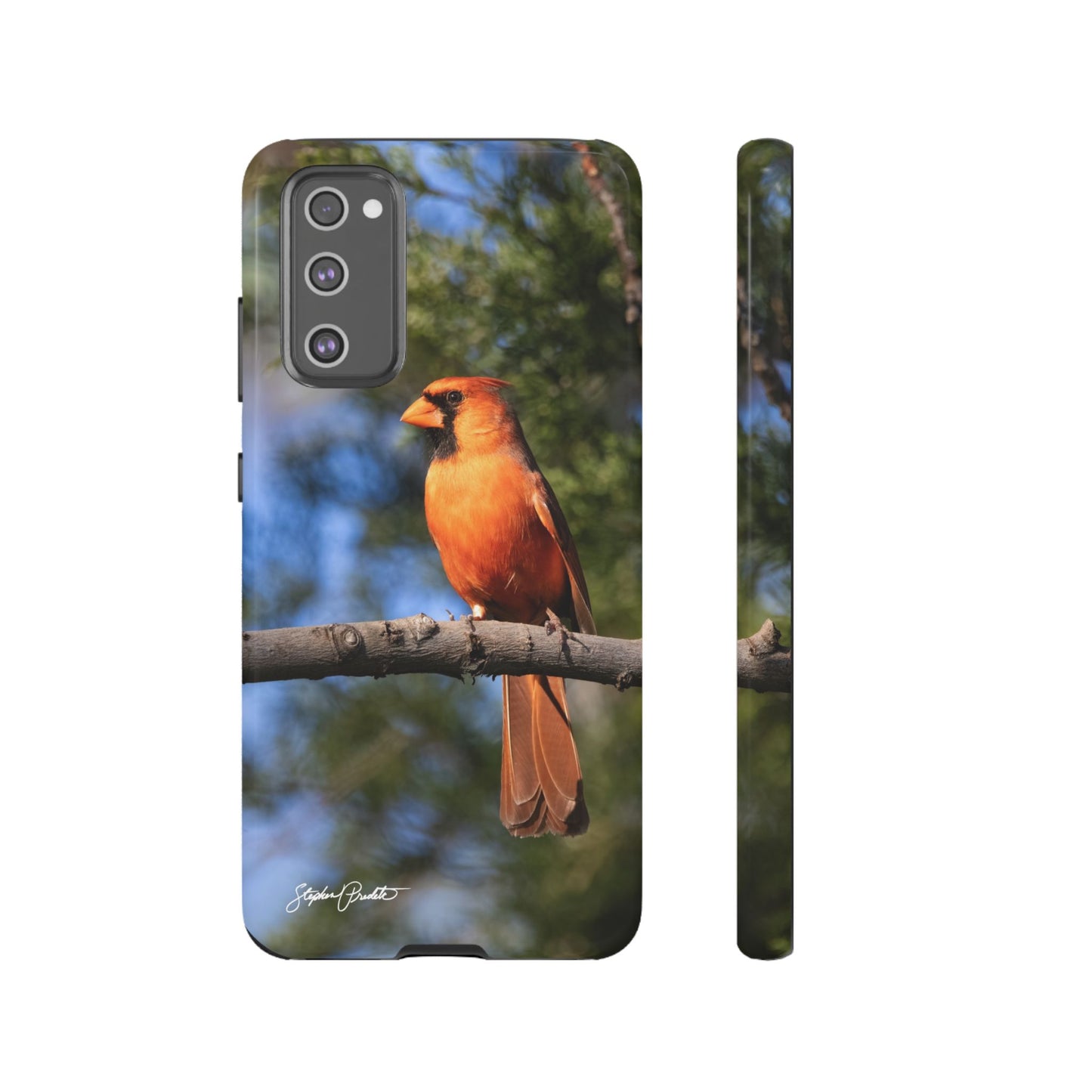 Phone Tough Case - Male Northern Cardinal