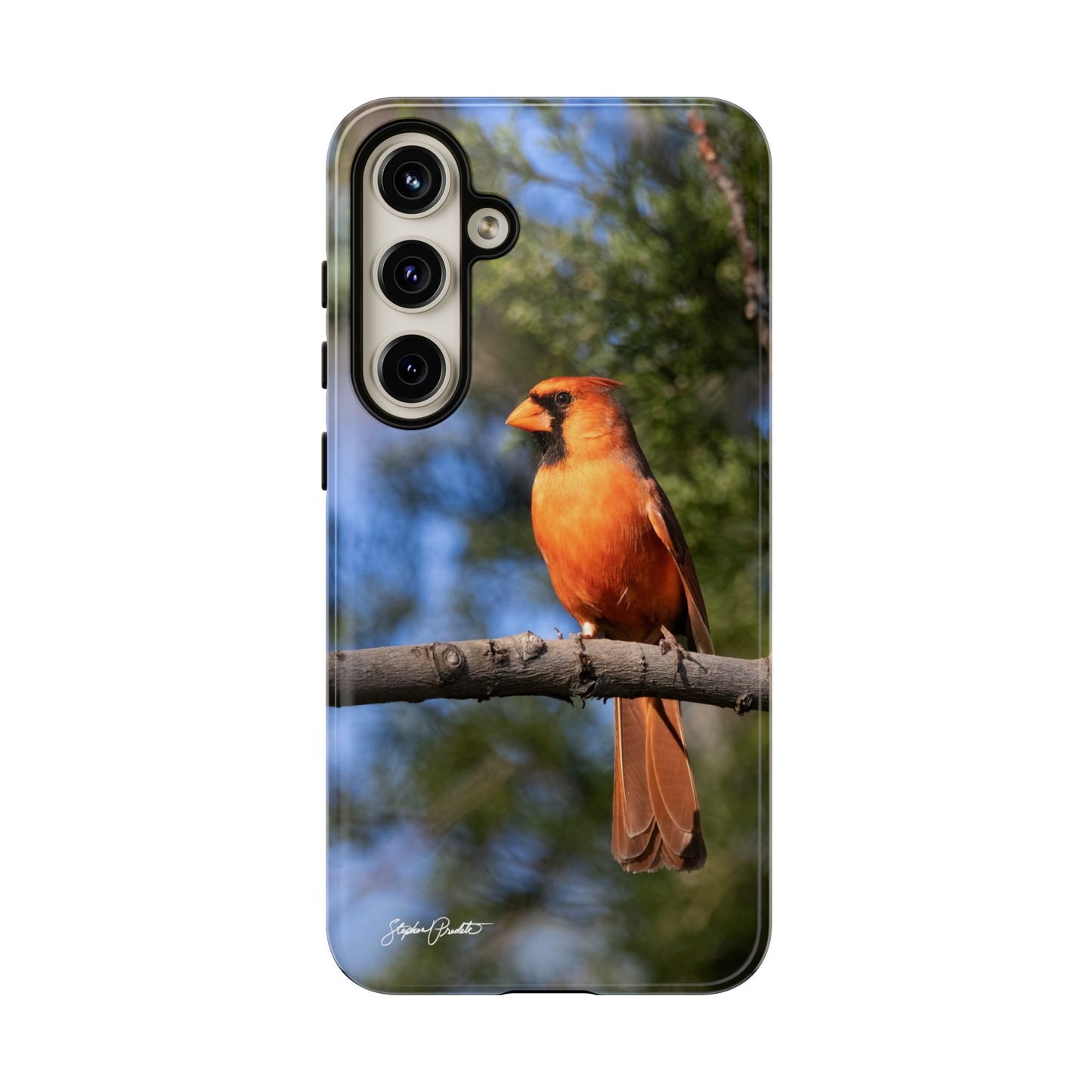 Phone Tough Case - Male Northern Cardinal