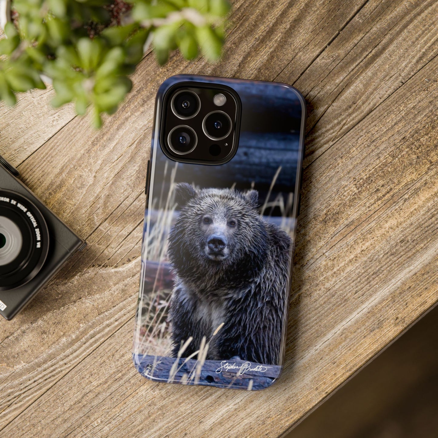 Phone Tough Case - Grizzly Bear Stare
