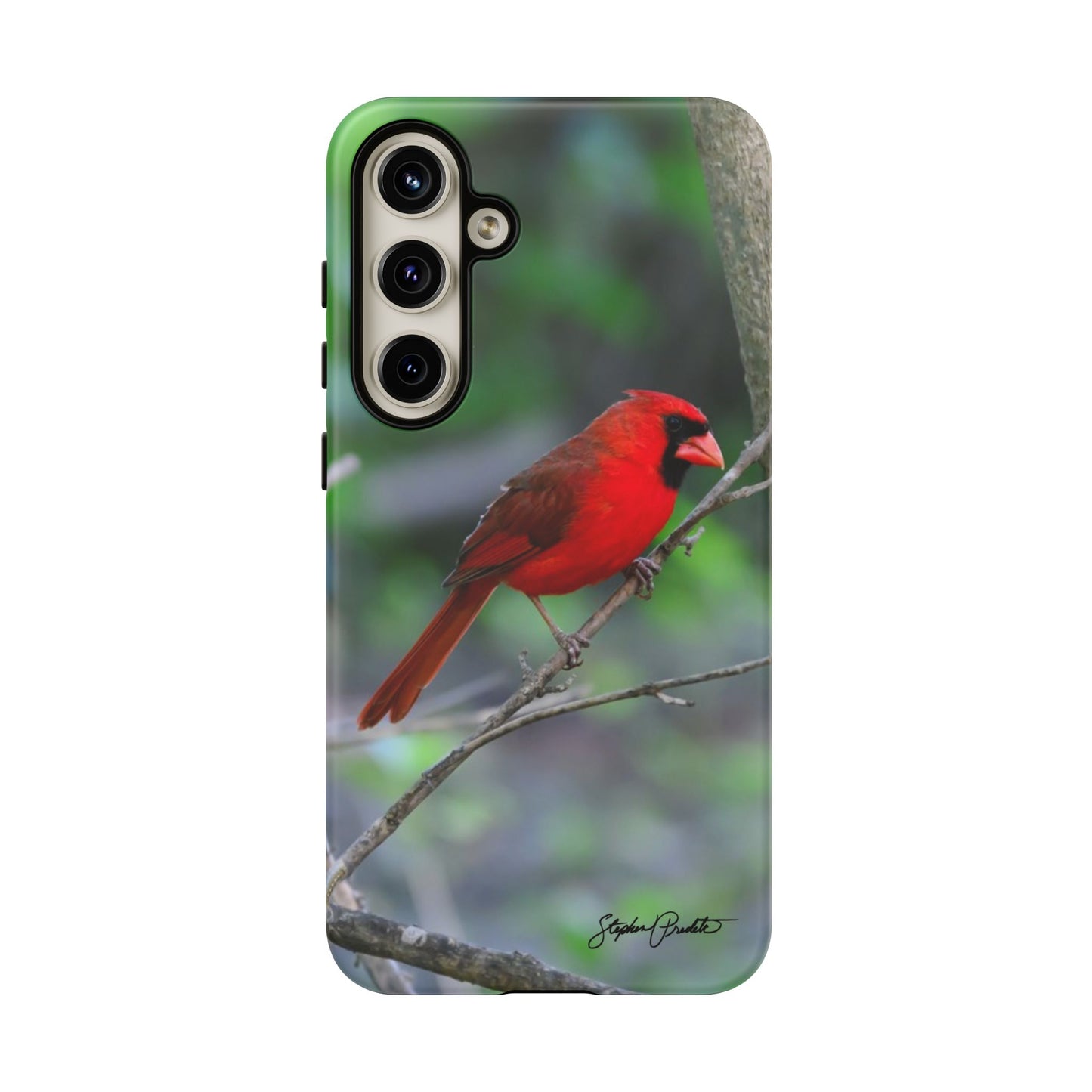 Phone Tough Case - Northern Cardinal 2