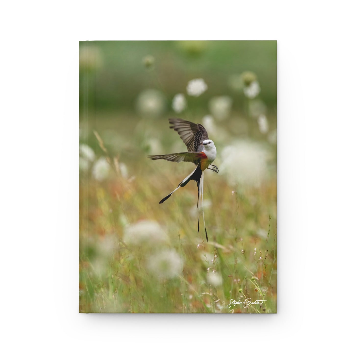 Hardcover Journal (Matte Finish) -- Scissortail Flycatcher Aerial Maneuvers