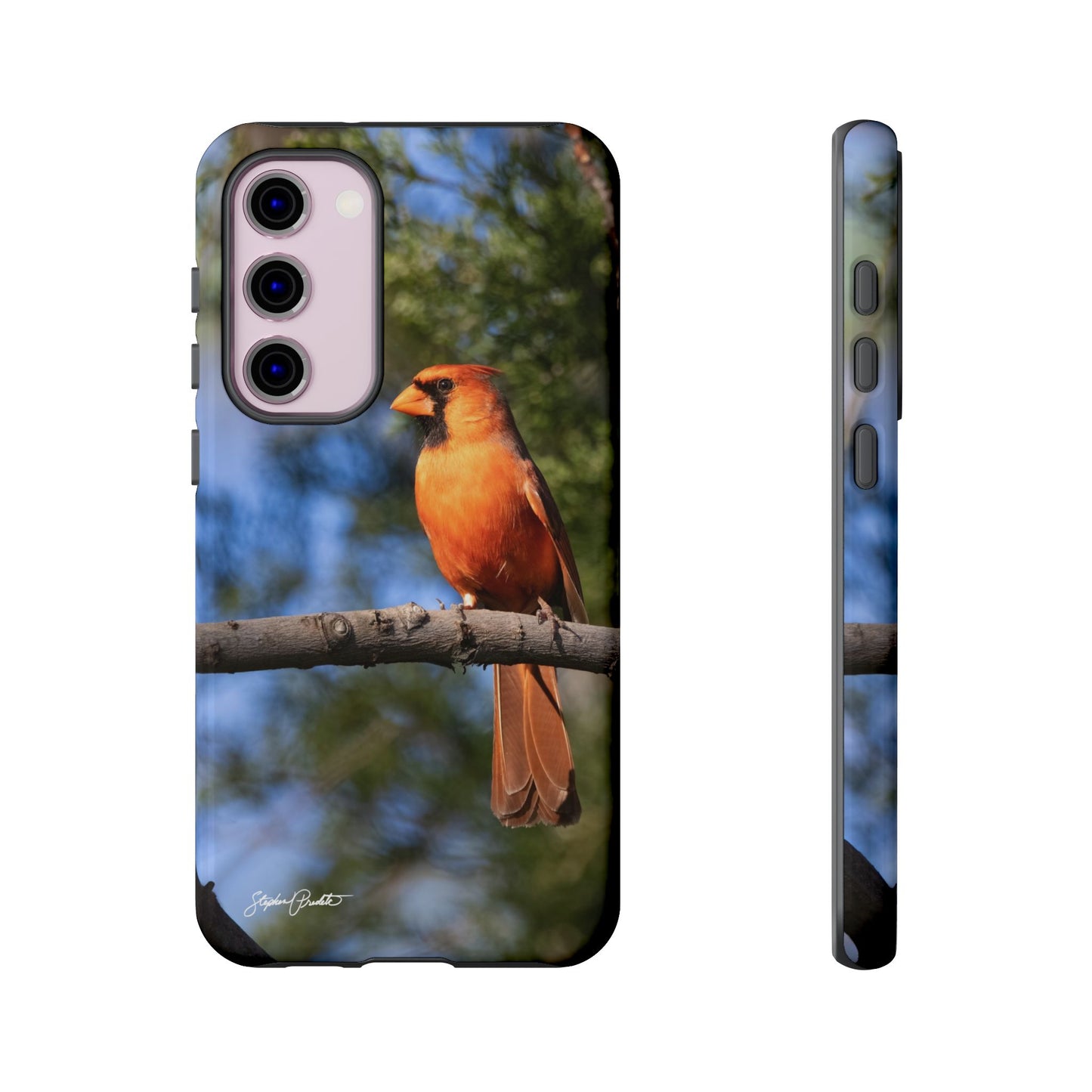 Phone Tough Case - Male Northern Cardinal