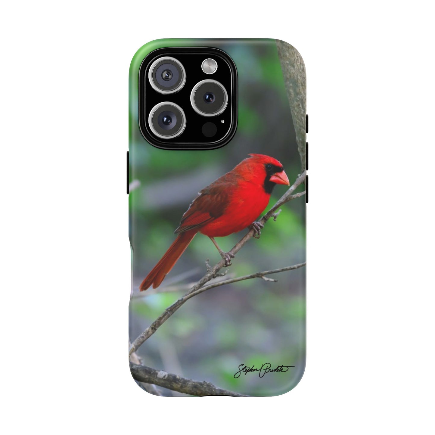 Phone Tough Case - Northern Cardinal 2