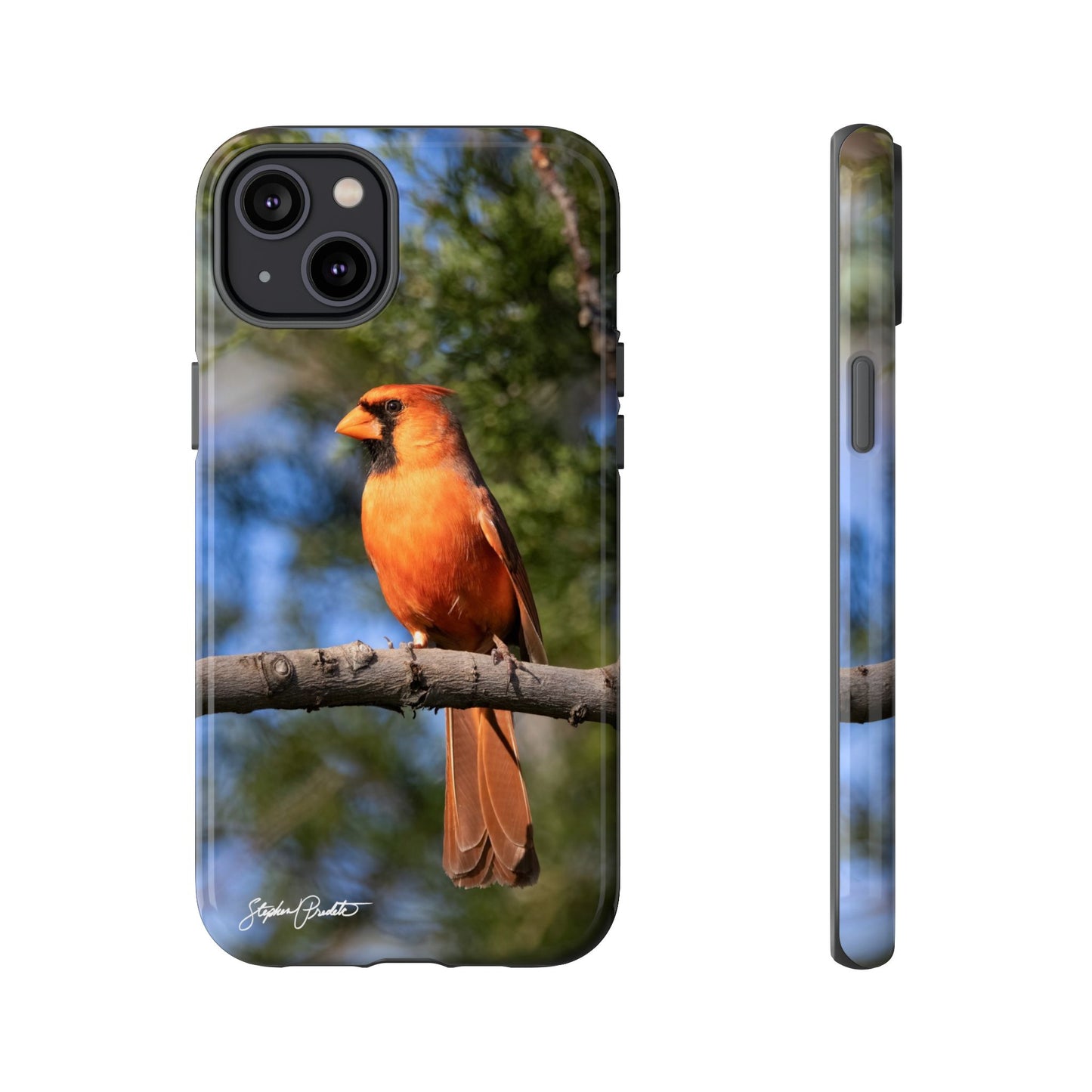 Phone Tough Case - Male Northern Cardinal