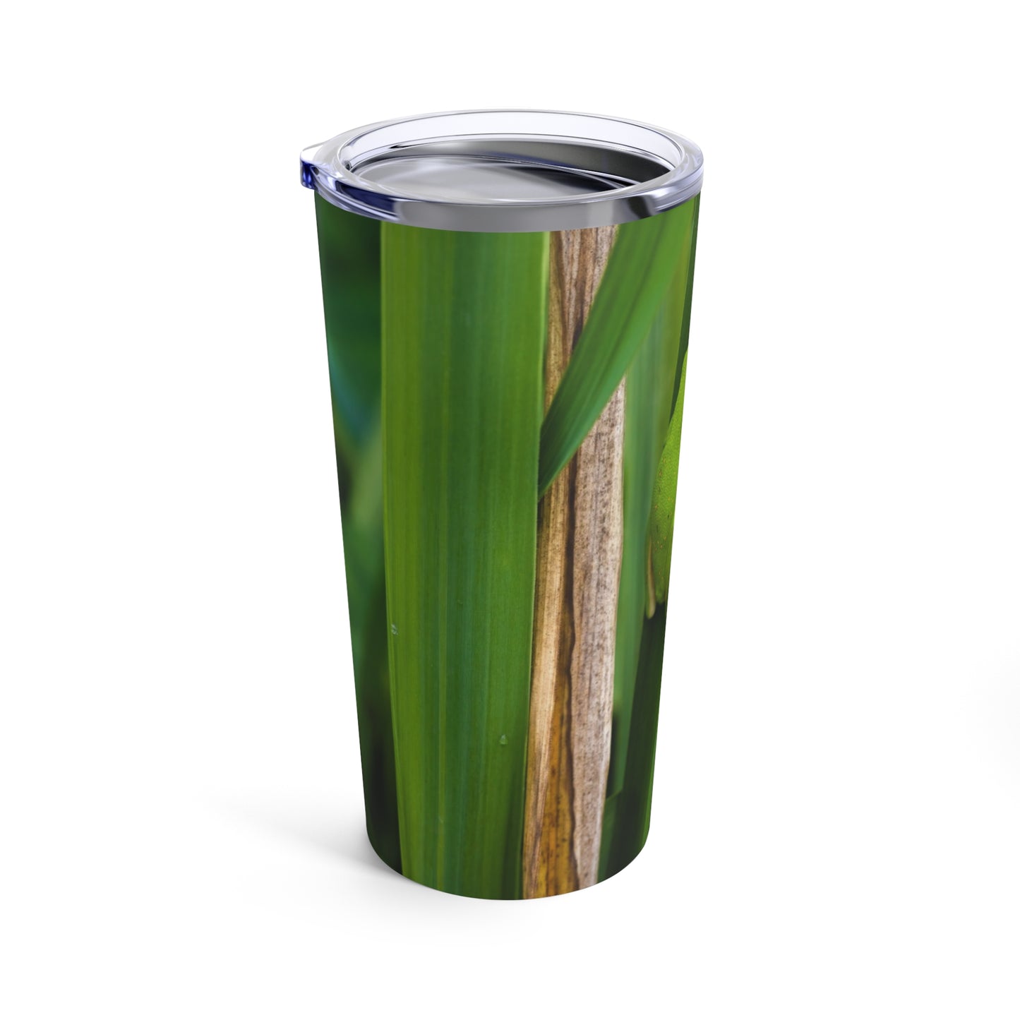 Tumbler 20oz -- Tree Frog on a Reed