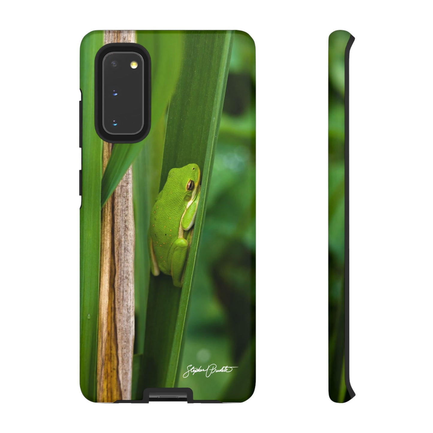 Phone Tough Case - Green Tree Frog