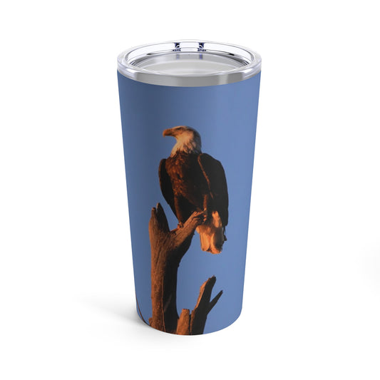 Tumbler 20oz -- Bald Eagle at Sunset