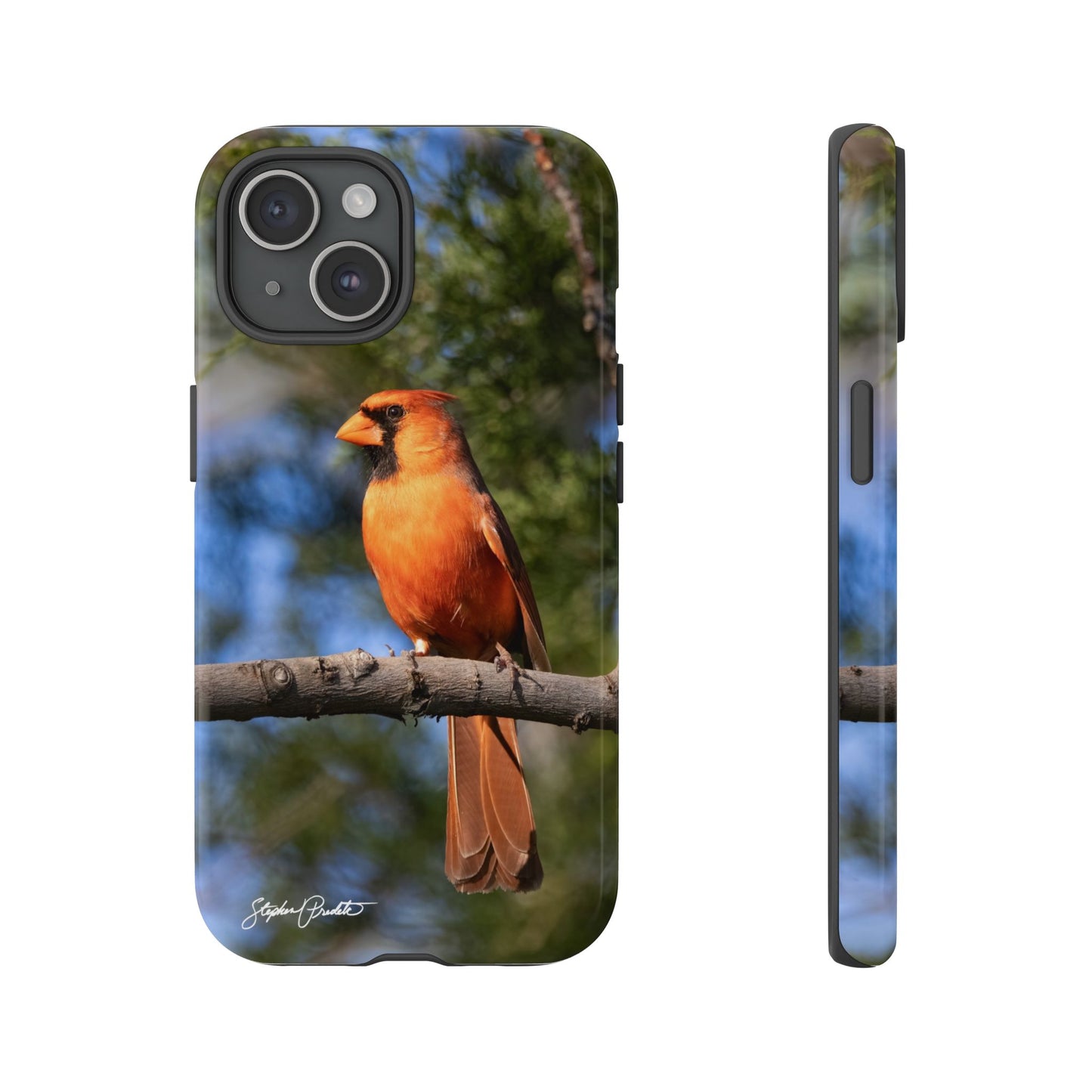 Phone Tough Case - Male Northern Cardinal