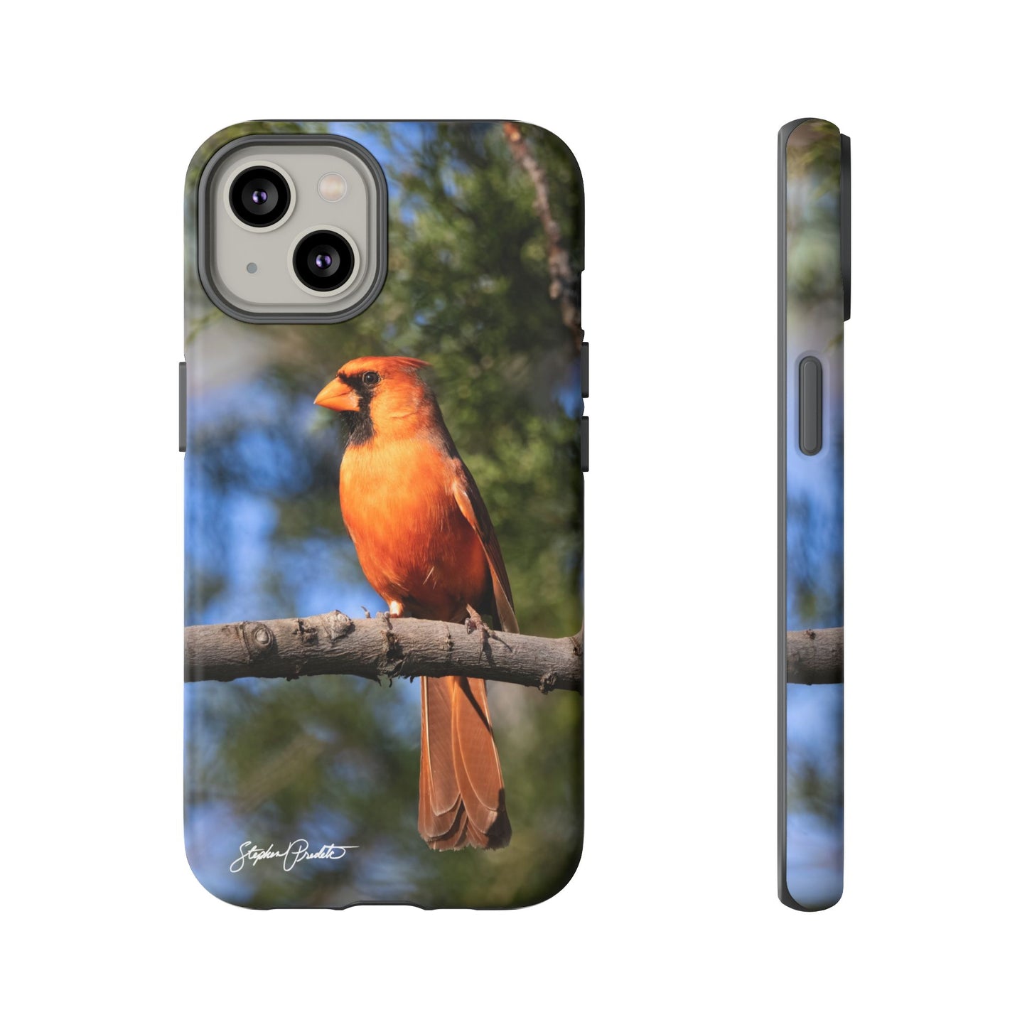 Phone Tough Case - Male Northern Cardinal