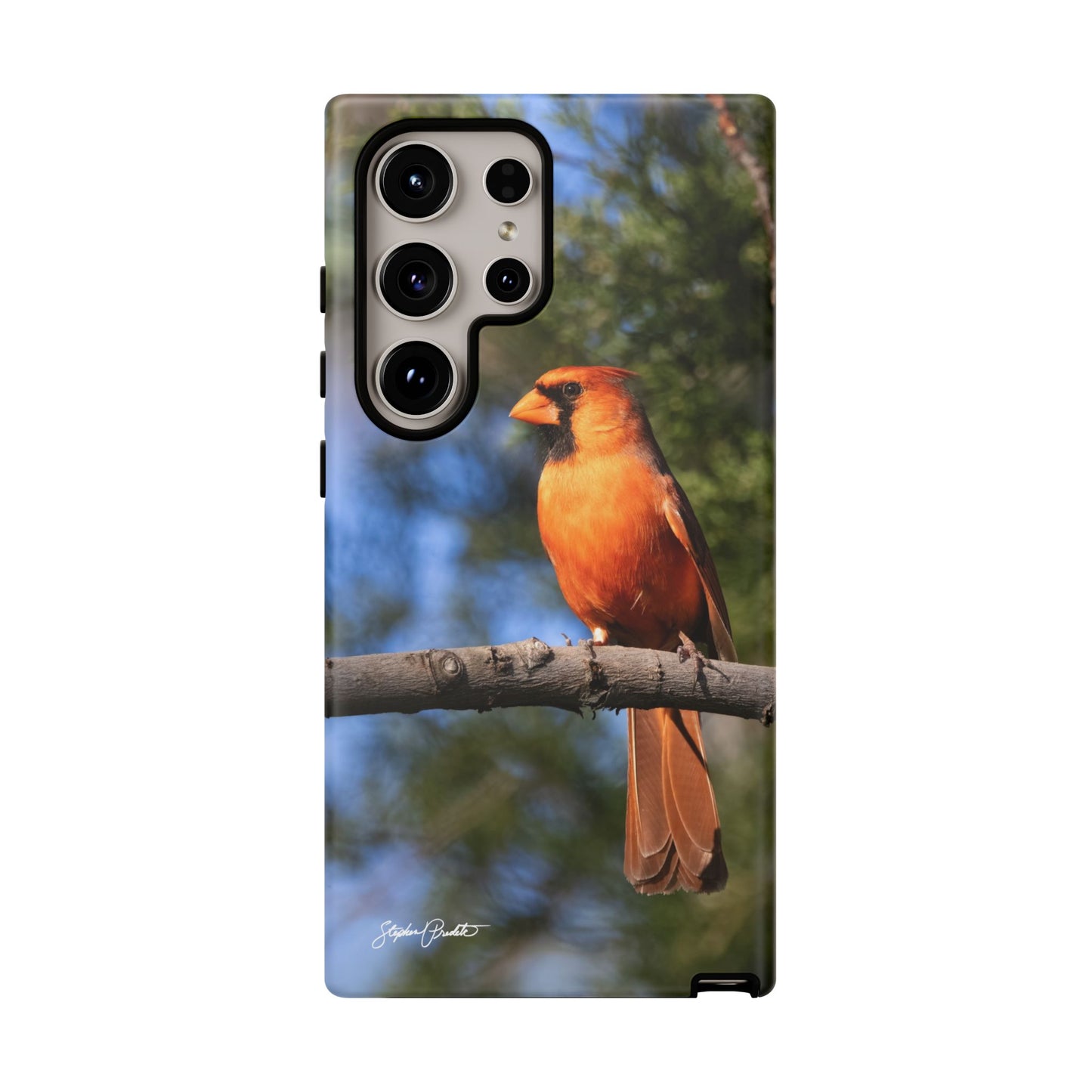 Phone Tough Case - Male Northern Cardinal