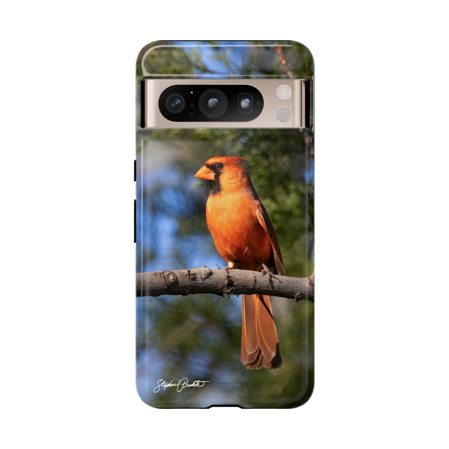 Phone Tough Case - Male Northern Cardinal