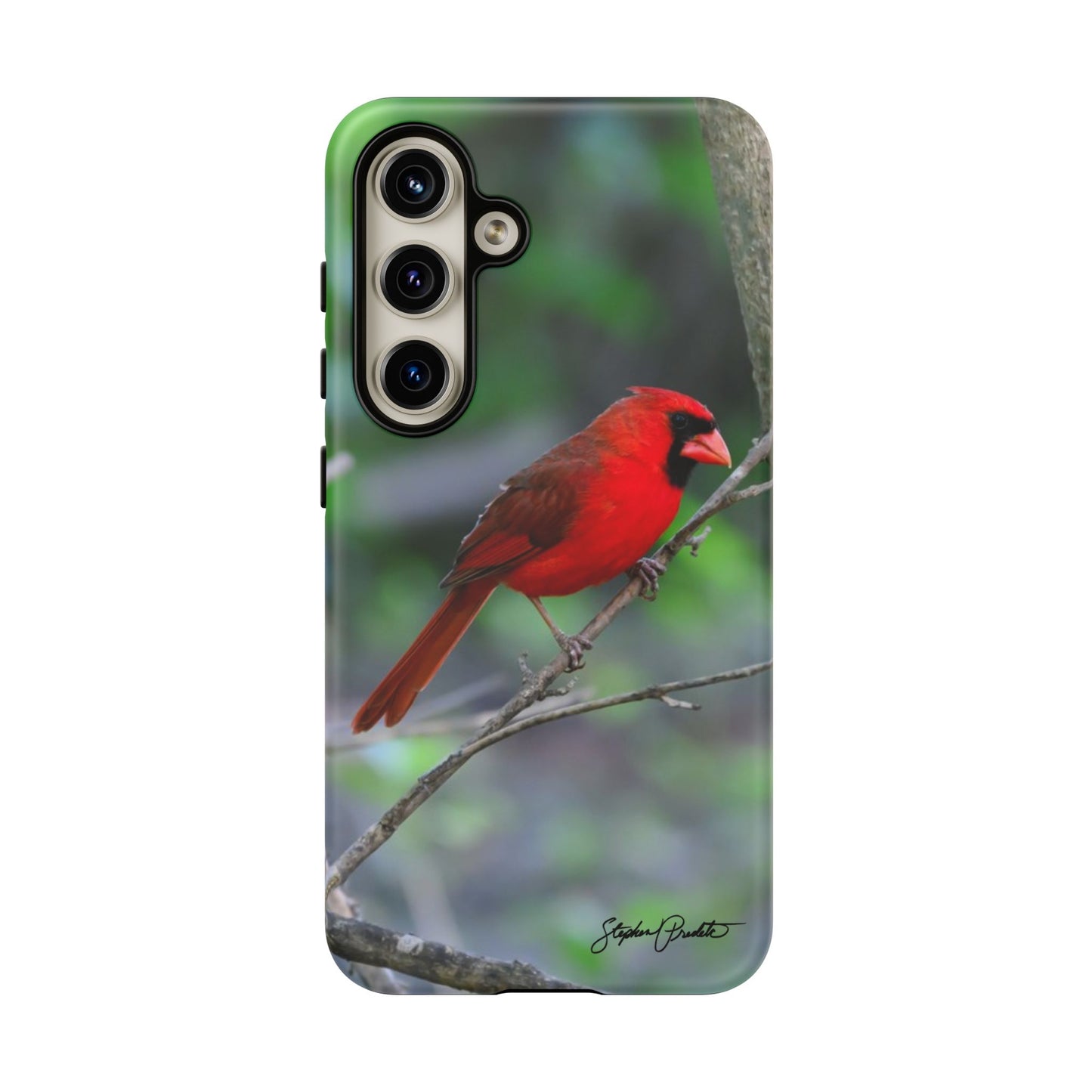 Phone Tough Case - Northern Cardinal 2