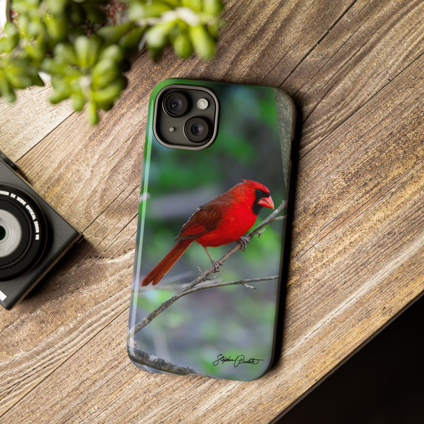 Phone Tough Case - Northern Cardinal 2