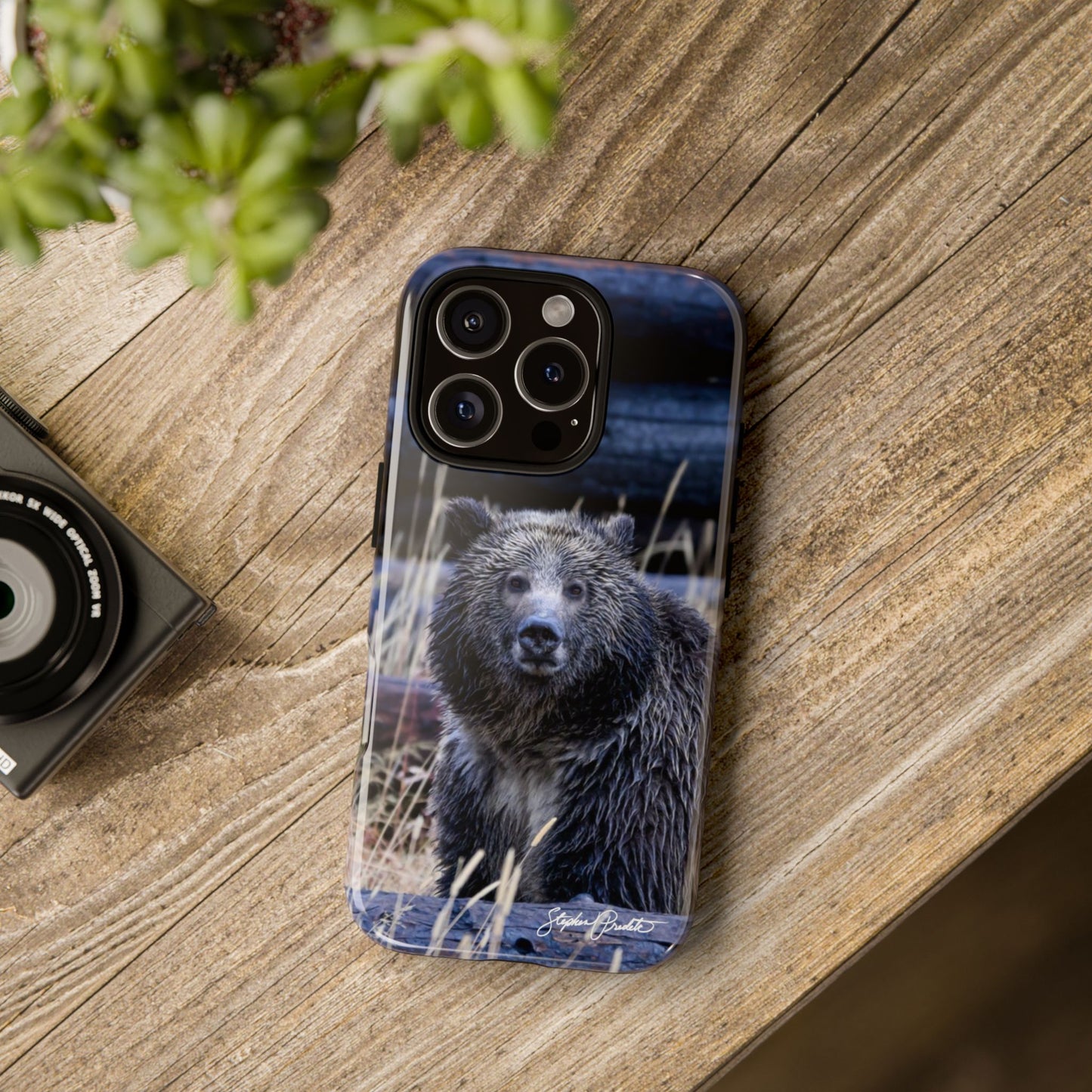 Phone Tough Case - Grizzly Bear Stare