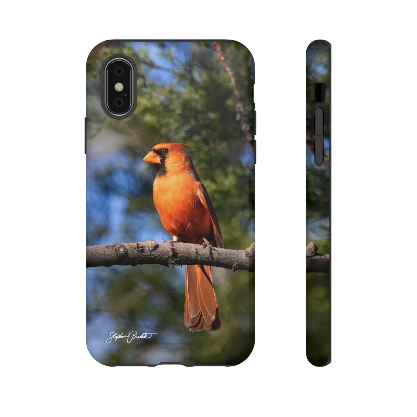 Phone Tough Case - Male Northern Cardinal