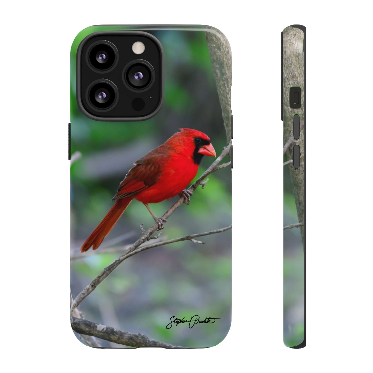 Phone Tough Case - Northern Cardinal 2