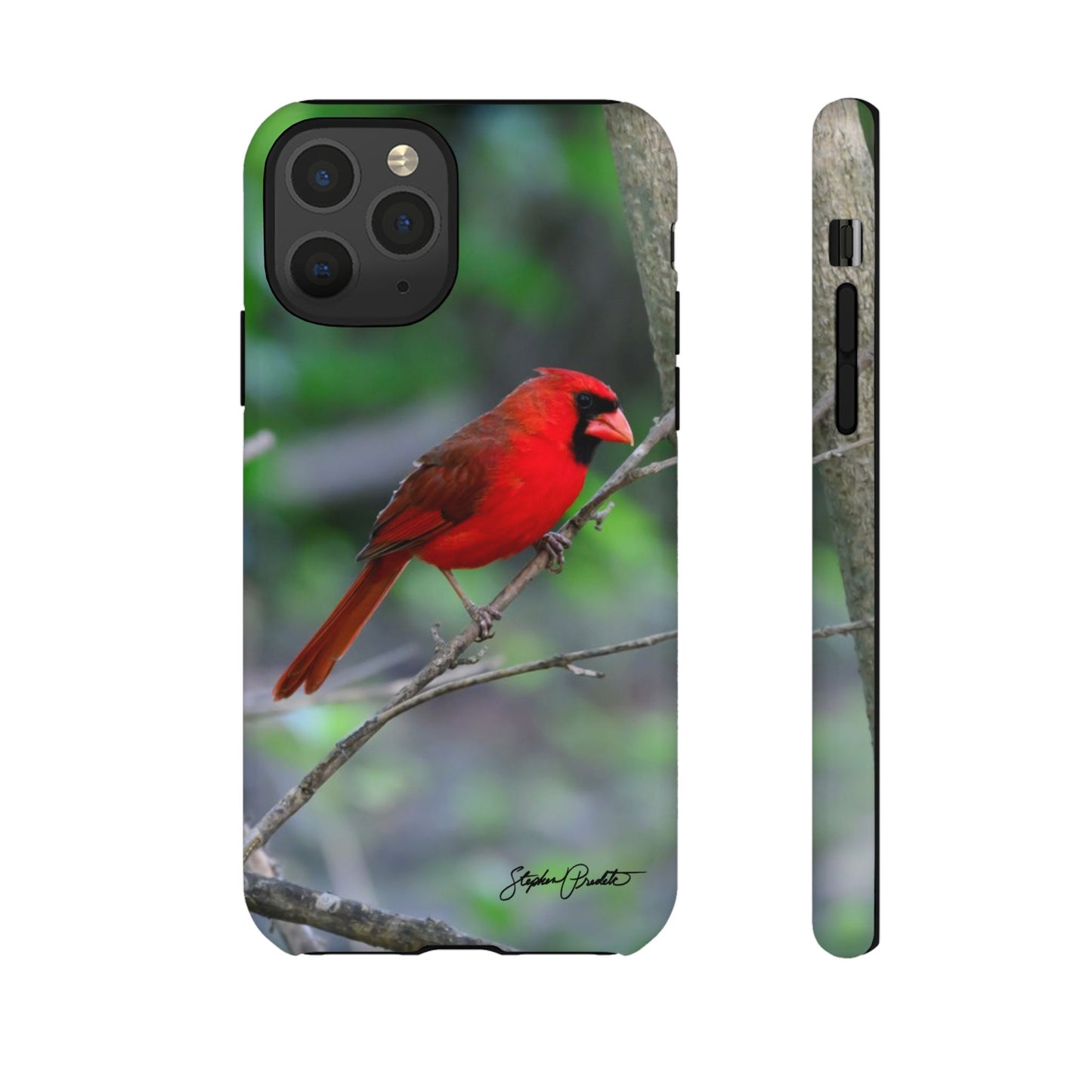 Phone Tough Case - Northern Cardinal 2