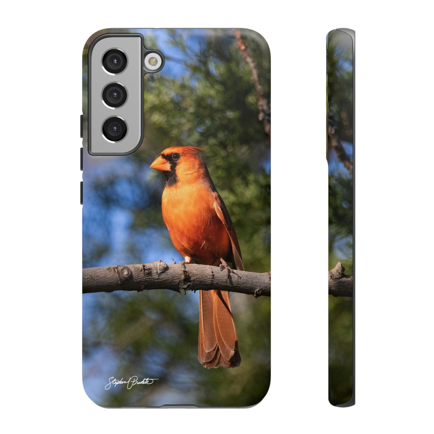 Phone Tough Case - Male Northern Cardinal