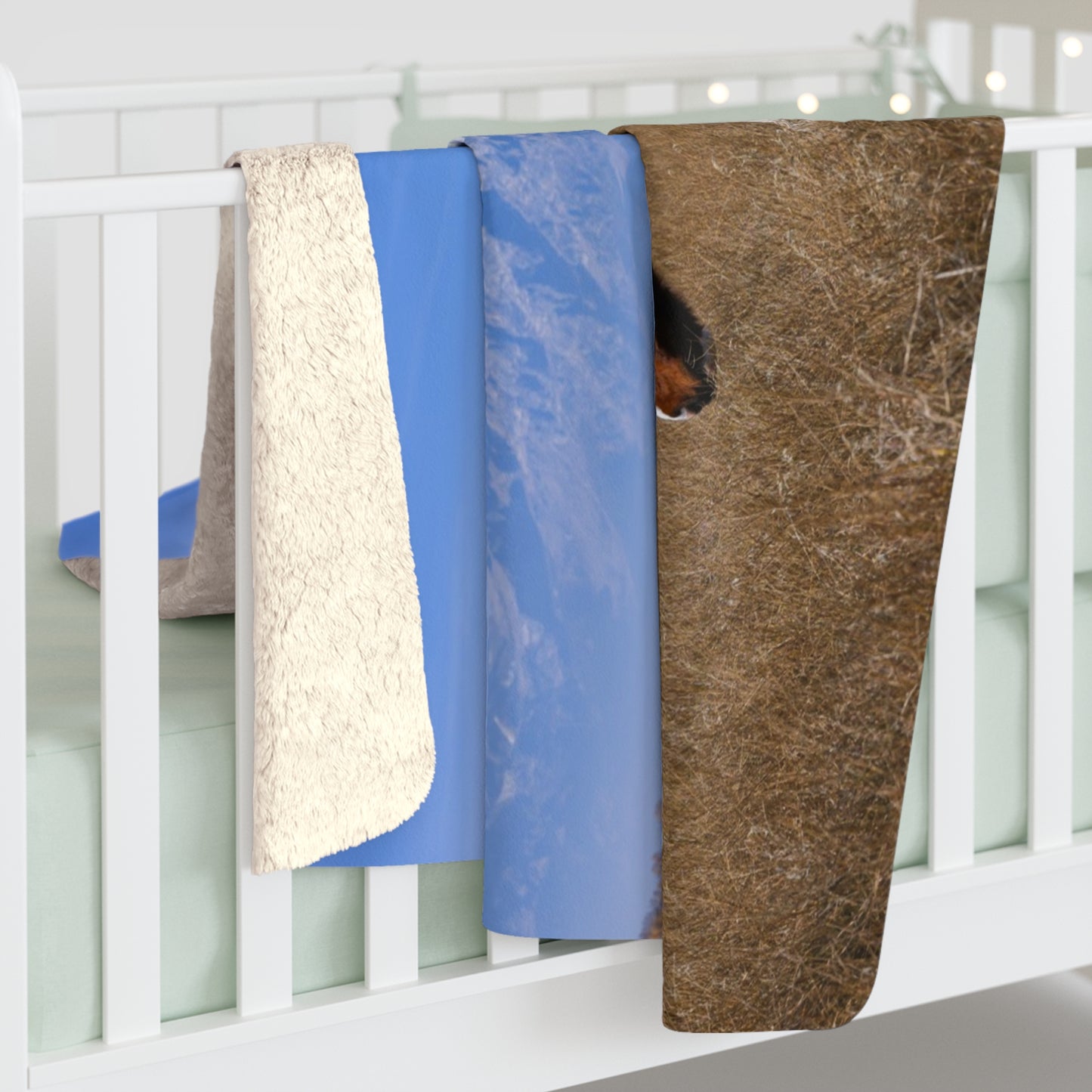 Blankets: Sherpa Fleece Blanket -- Foldable Fine Art -- Grand Teton Paint Horse