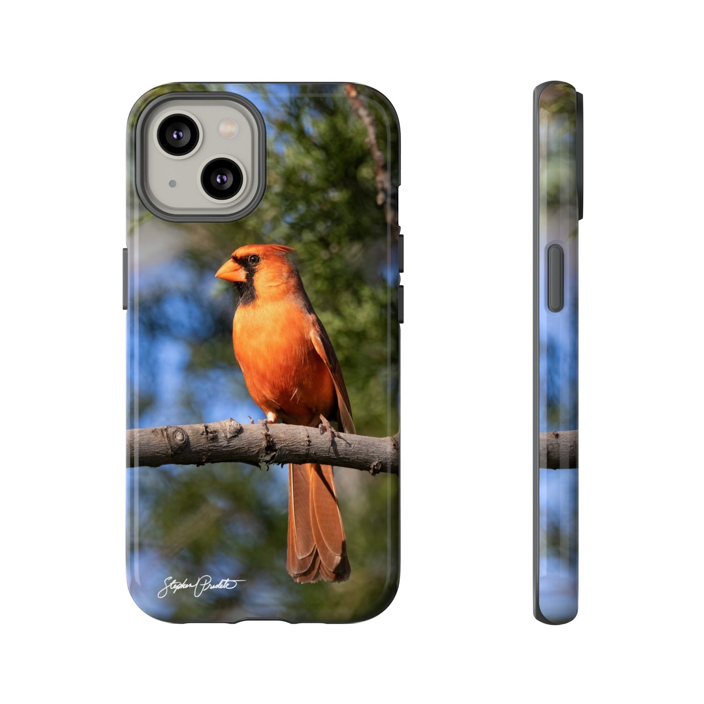 Phone Tough Case - Male Northern Cardinal
