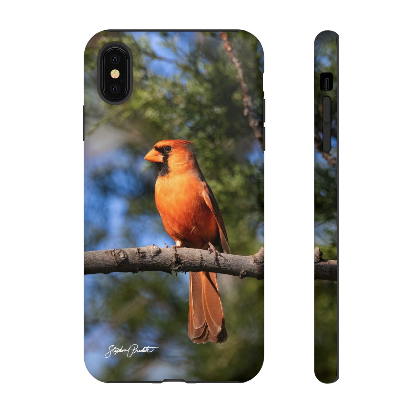Phone Tough Case - Male Northern Cardinal